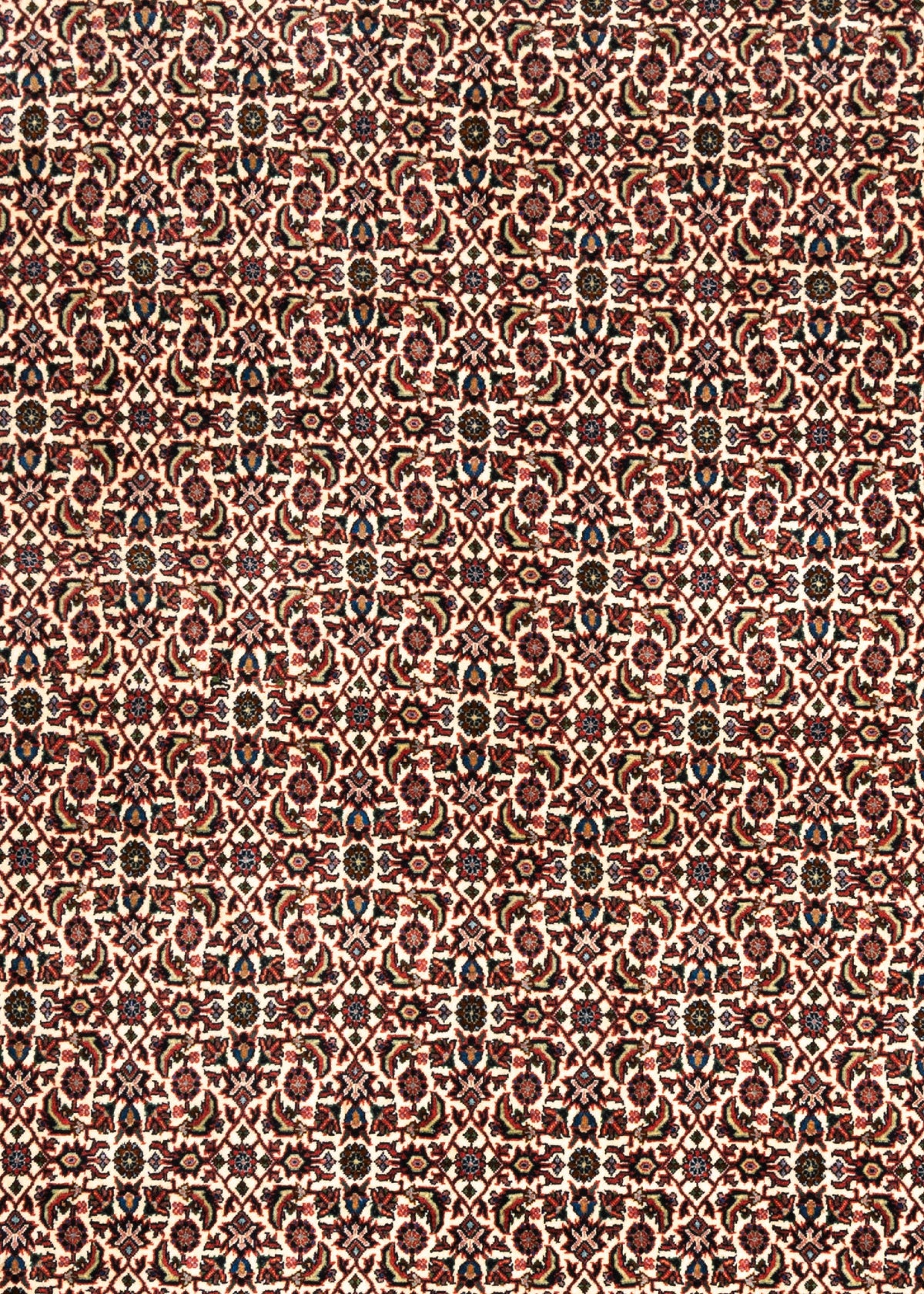 338x257 Bijar