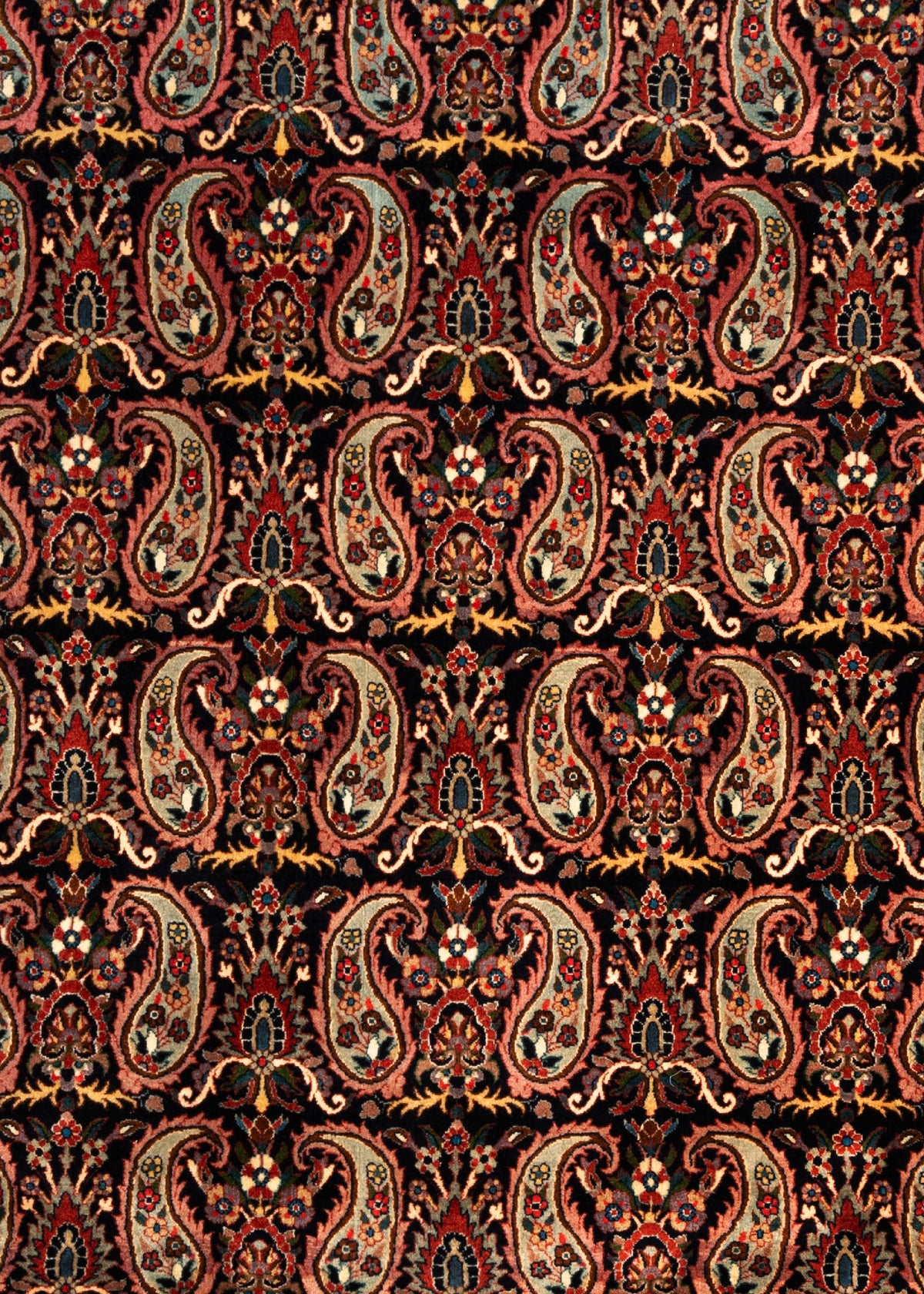 346 x 254 Bidjar