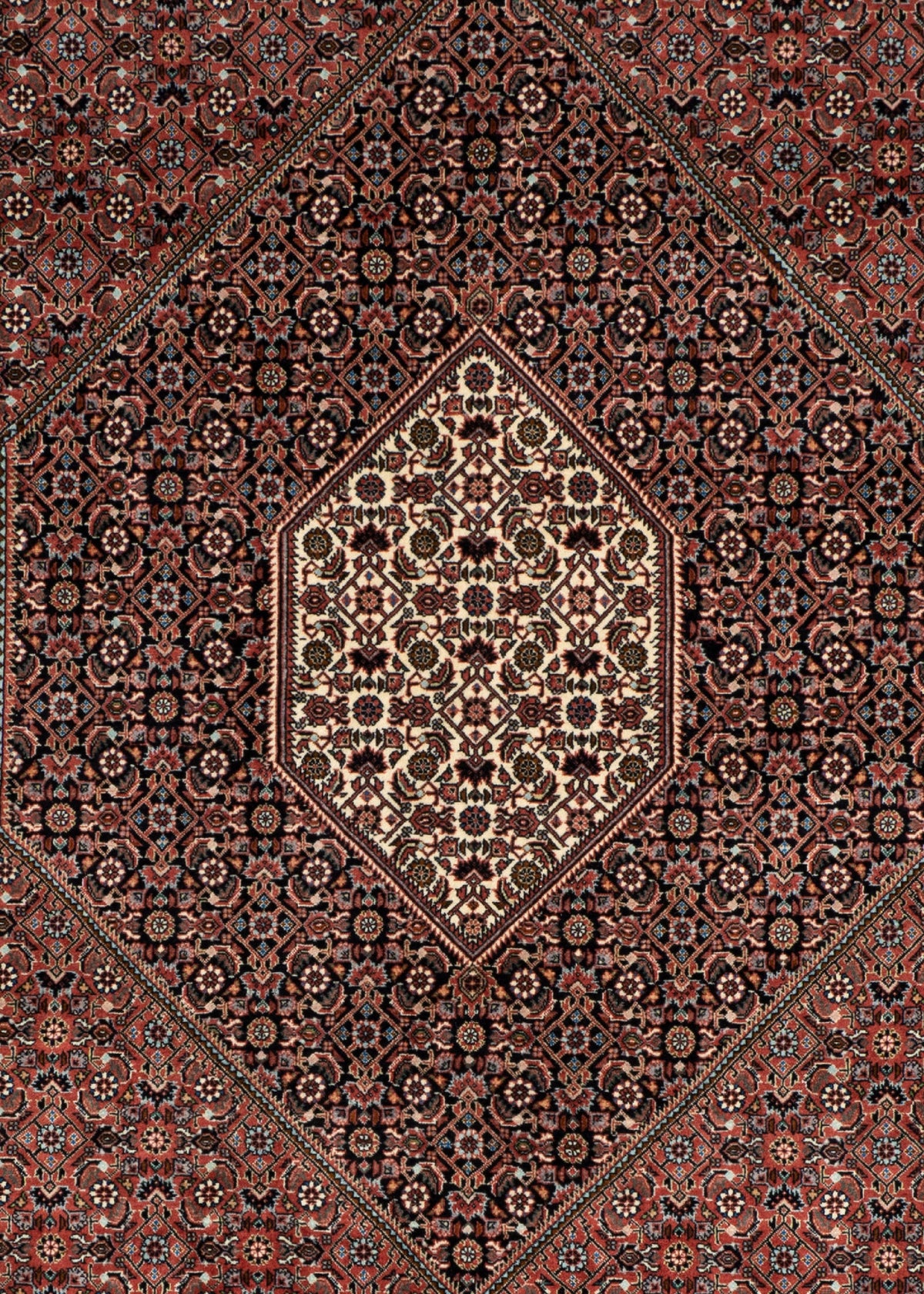300 x 290 Bidjar