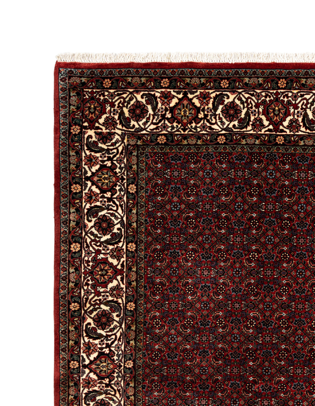 209x205 Bidjar con seta