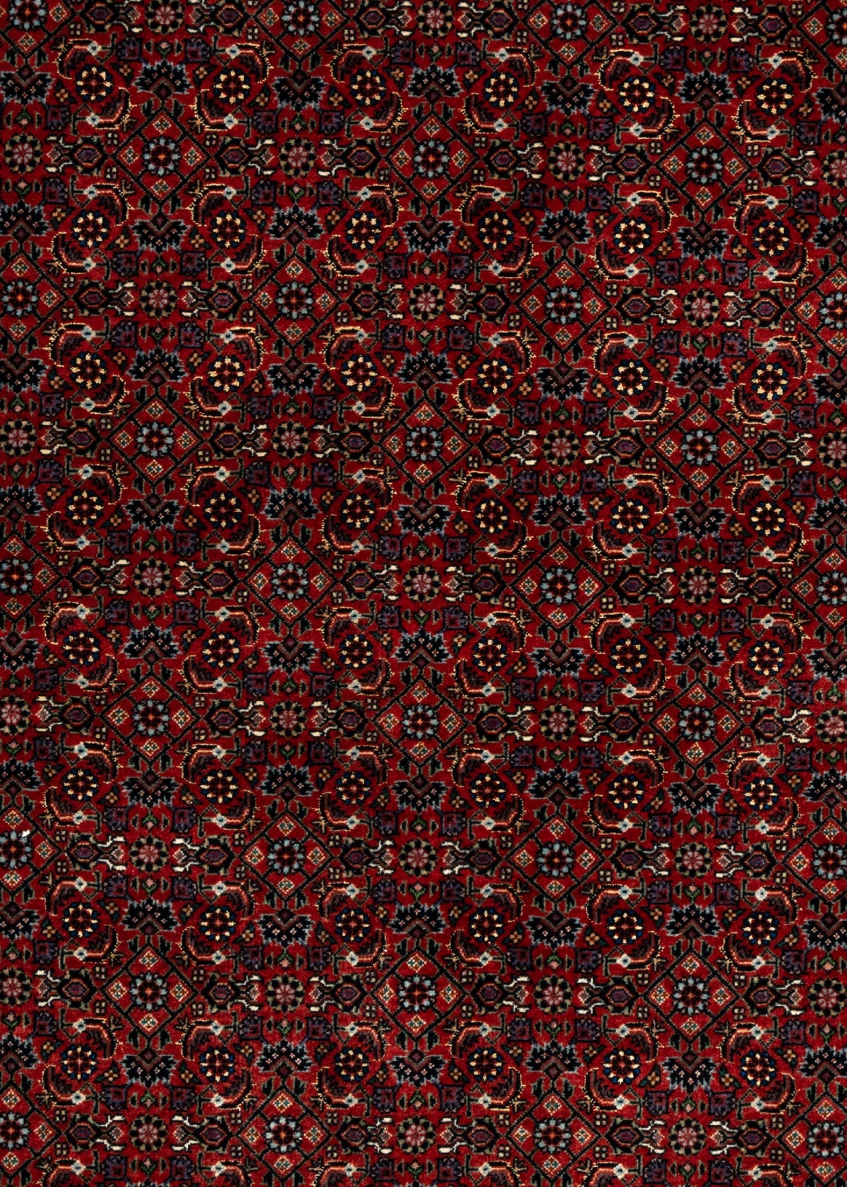 209x205 Bidjar con seta