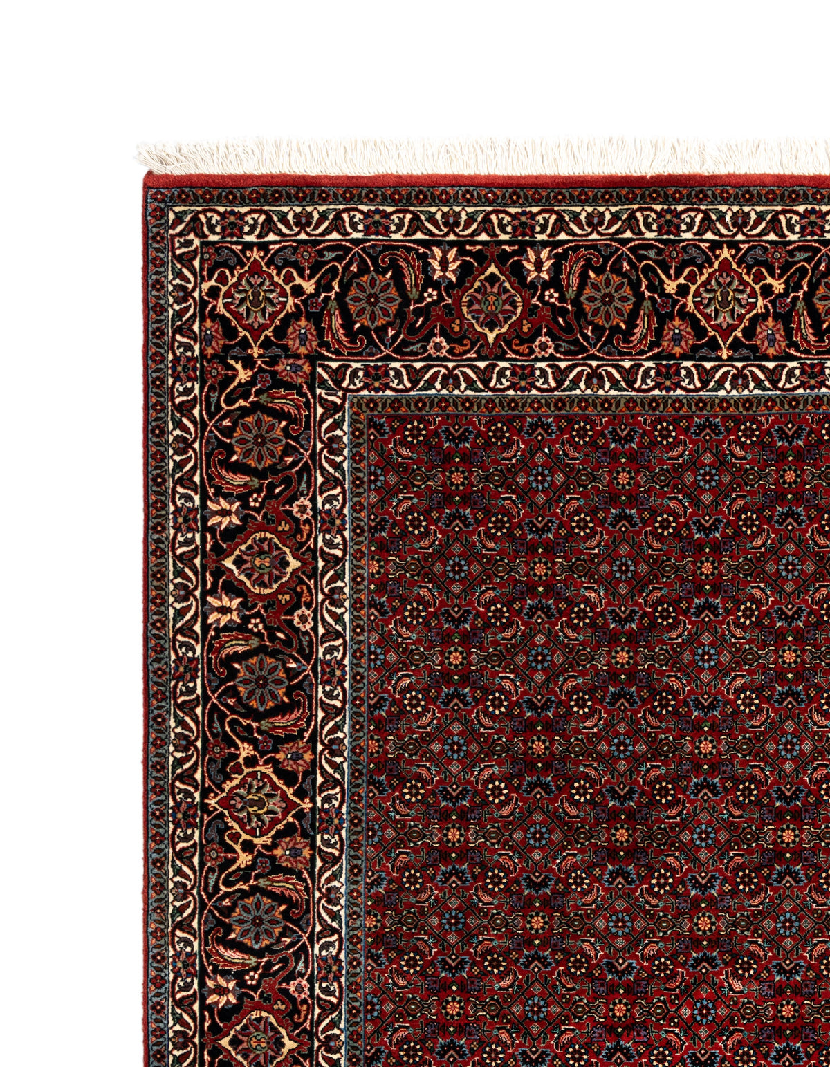 203 x 204 Bidjar