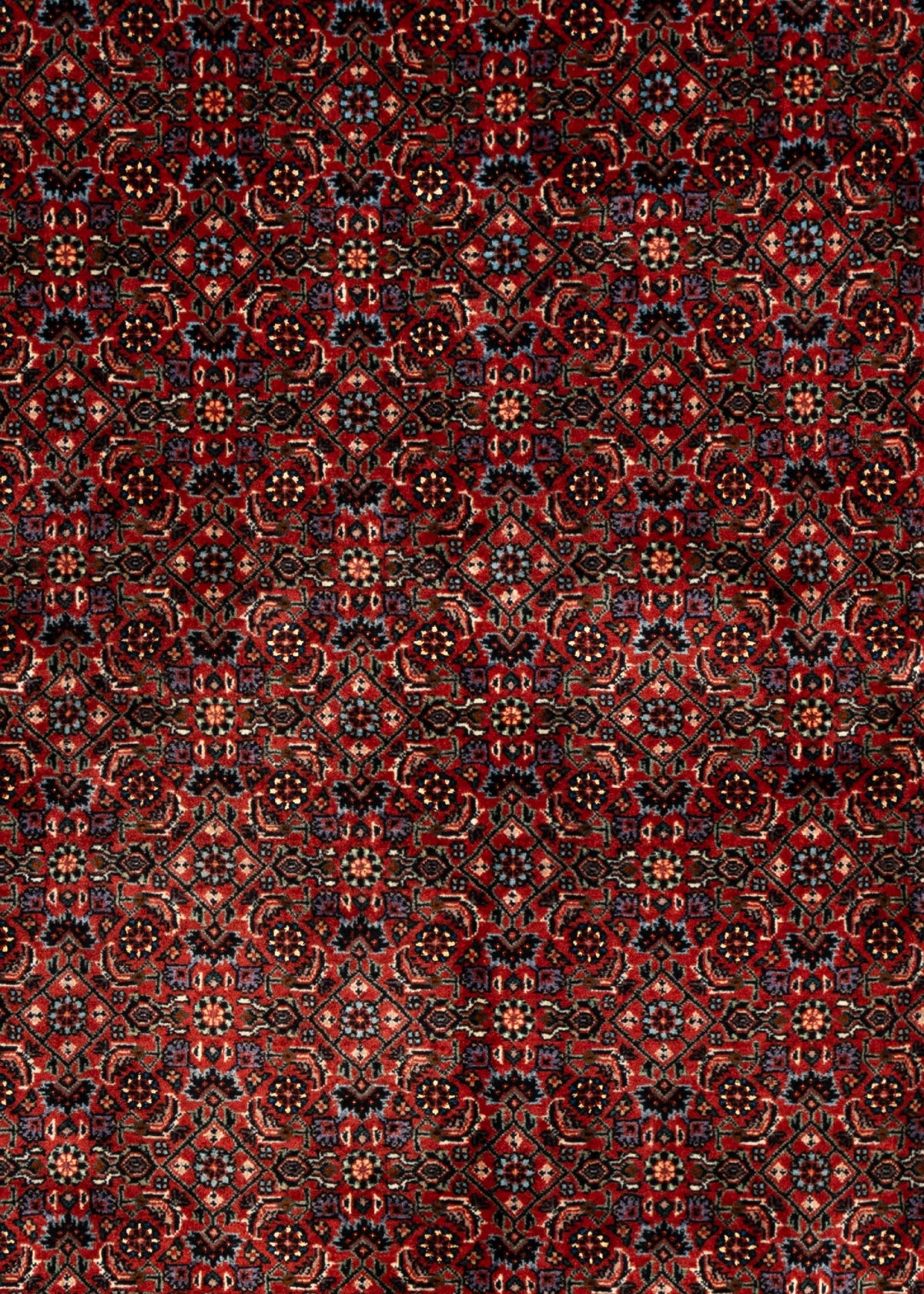 208 x 204 Bidjar mit Seide