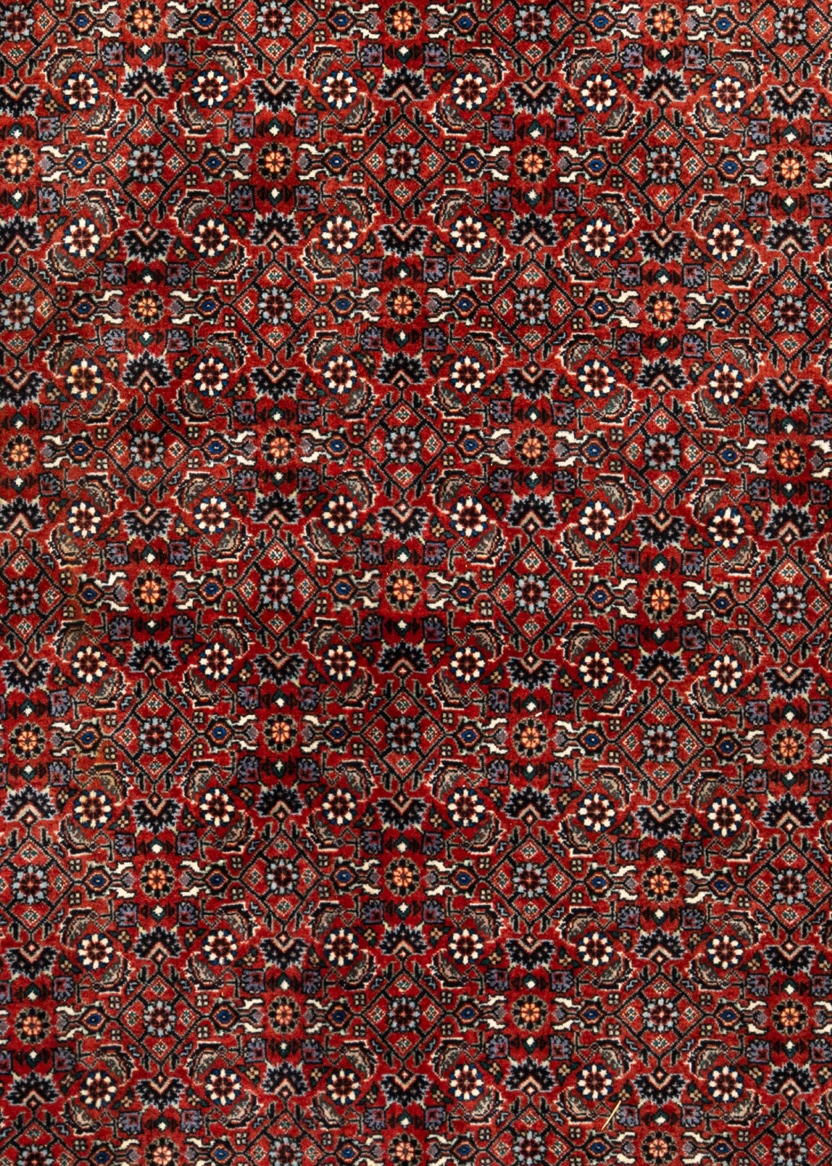216x205 Bijar