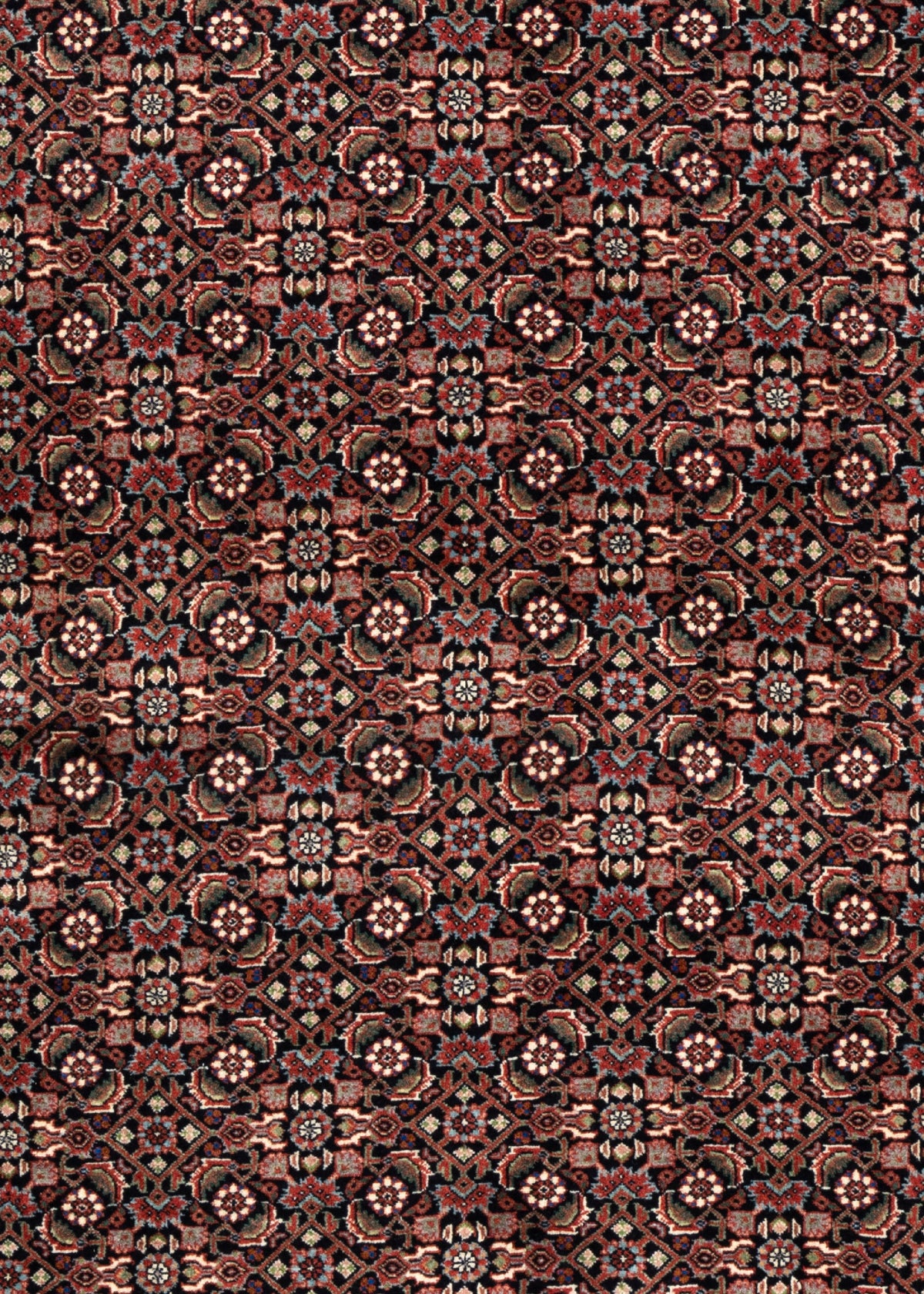 205 x 205 Bidjar