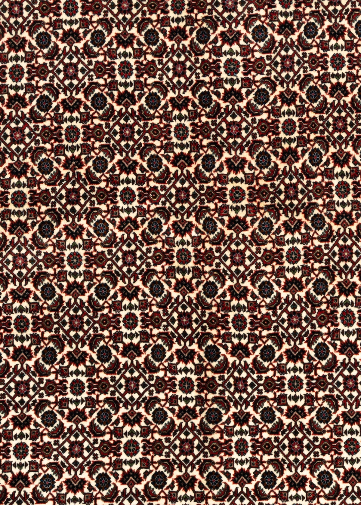 220x171 Bijar