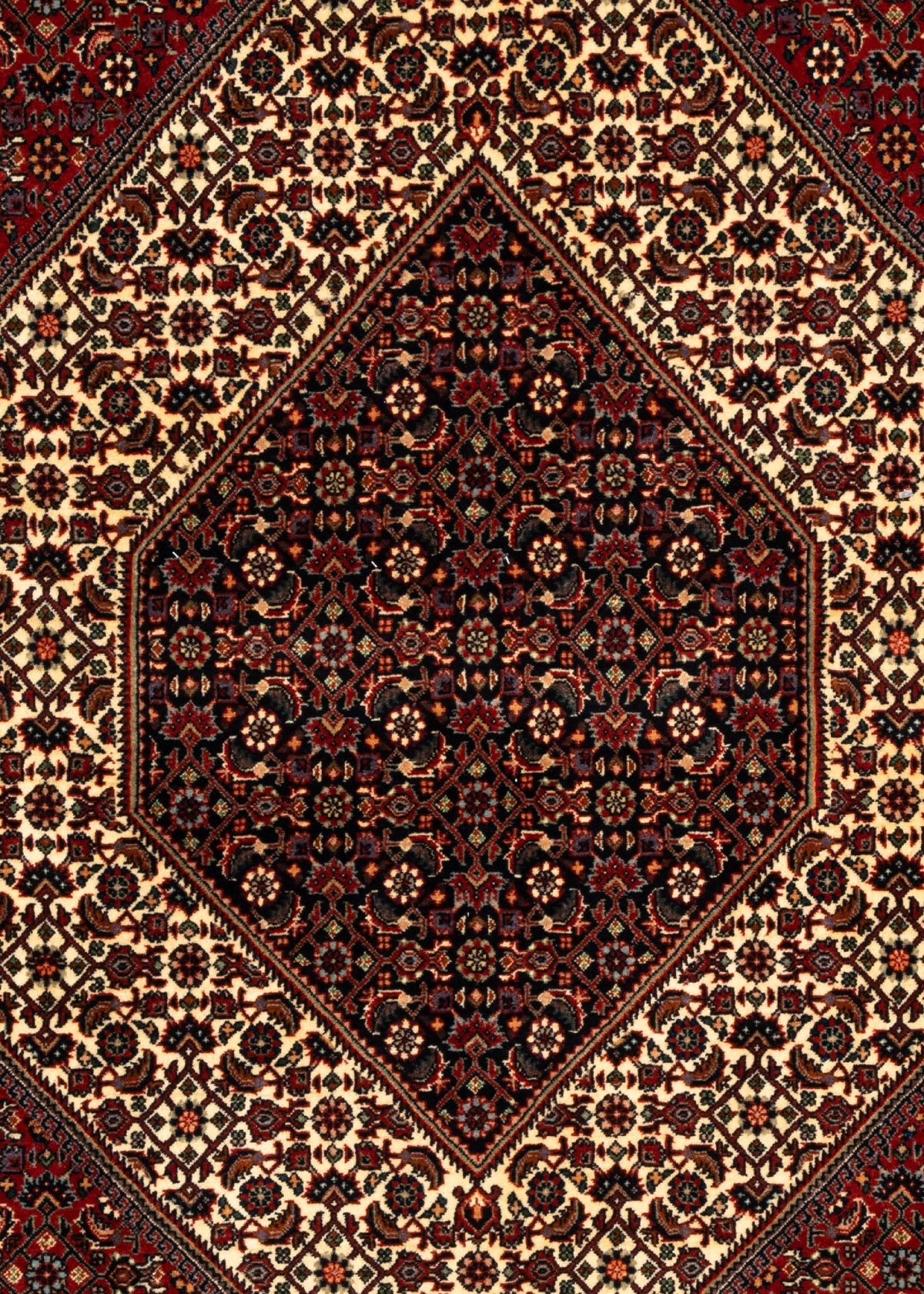 255 x 200 Bidjar