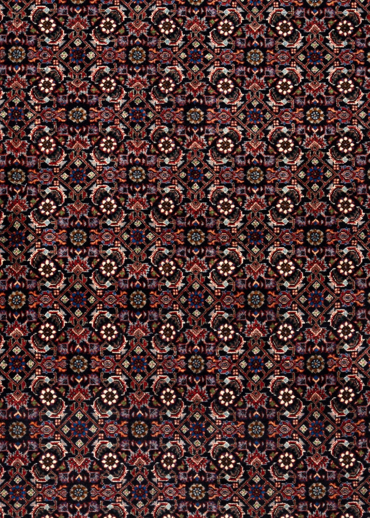 252 x 205 Bidjar