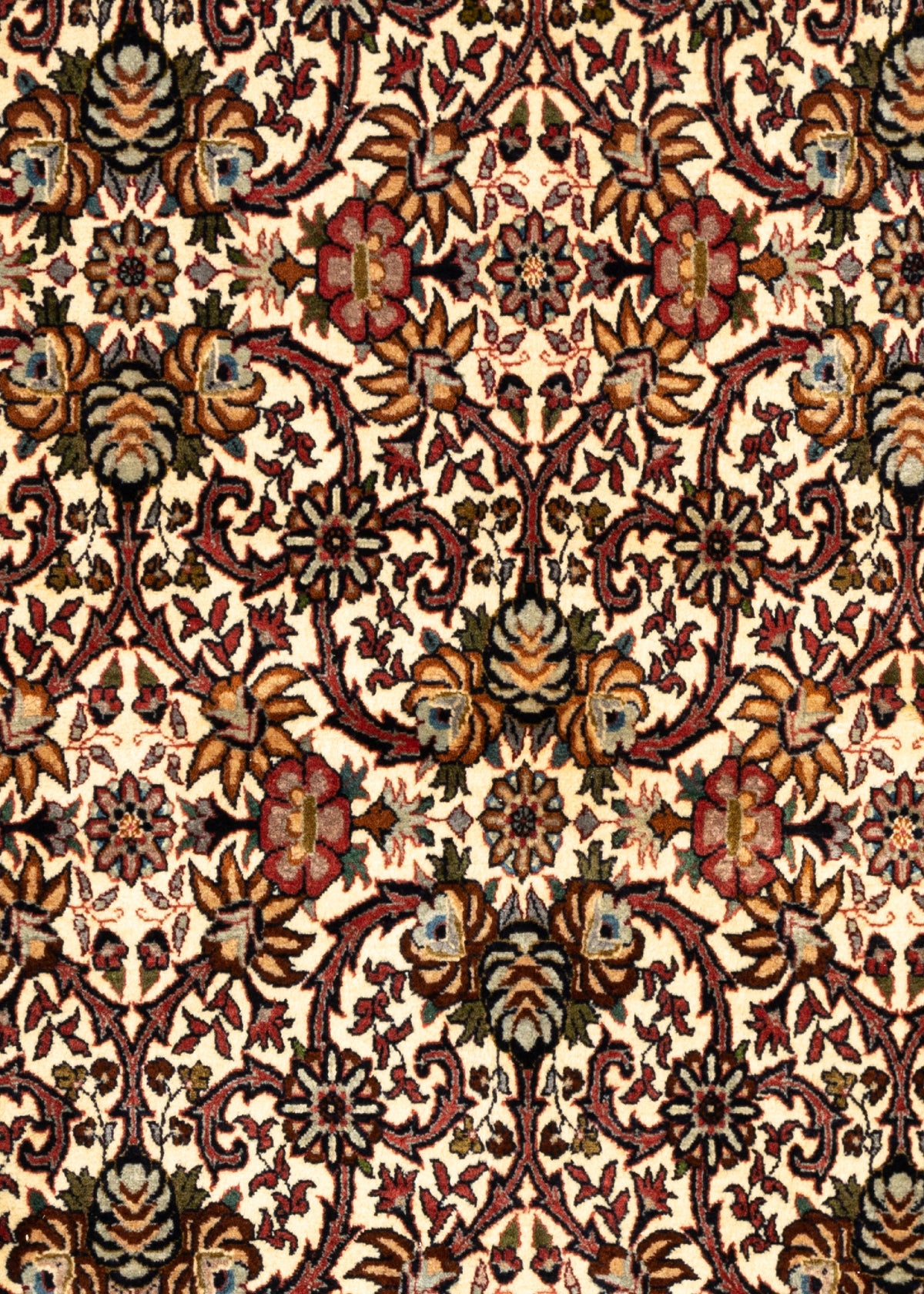 250x202 Bidjar