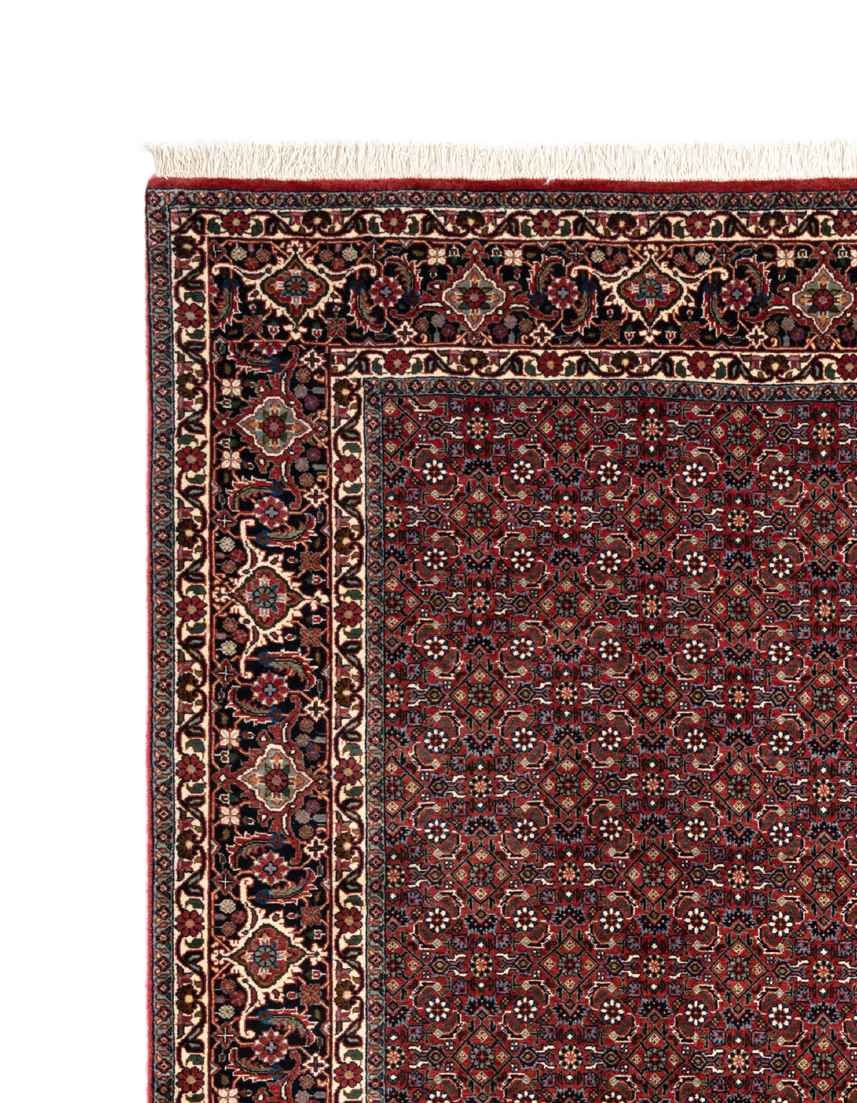 250x206 Bidjar