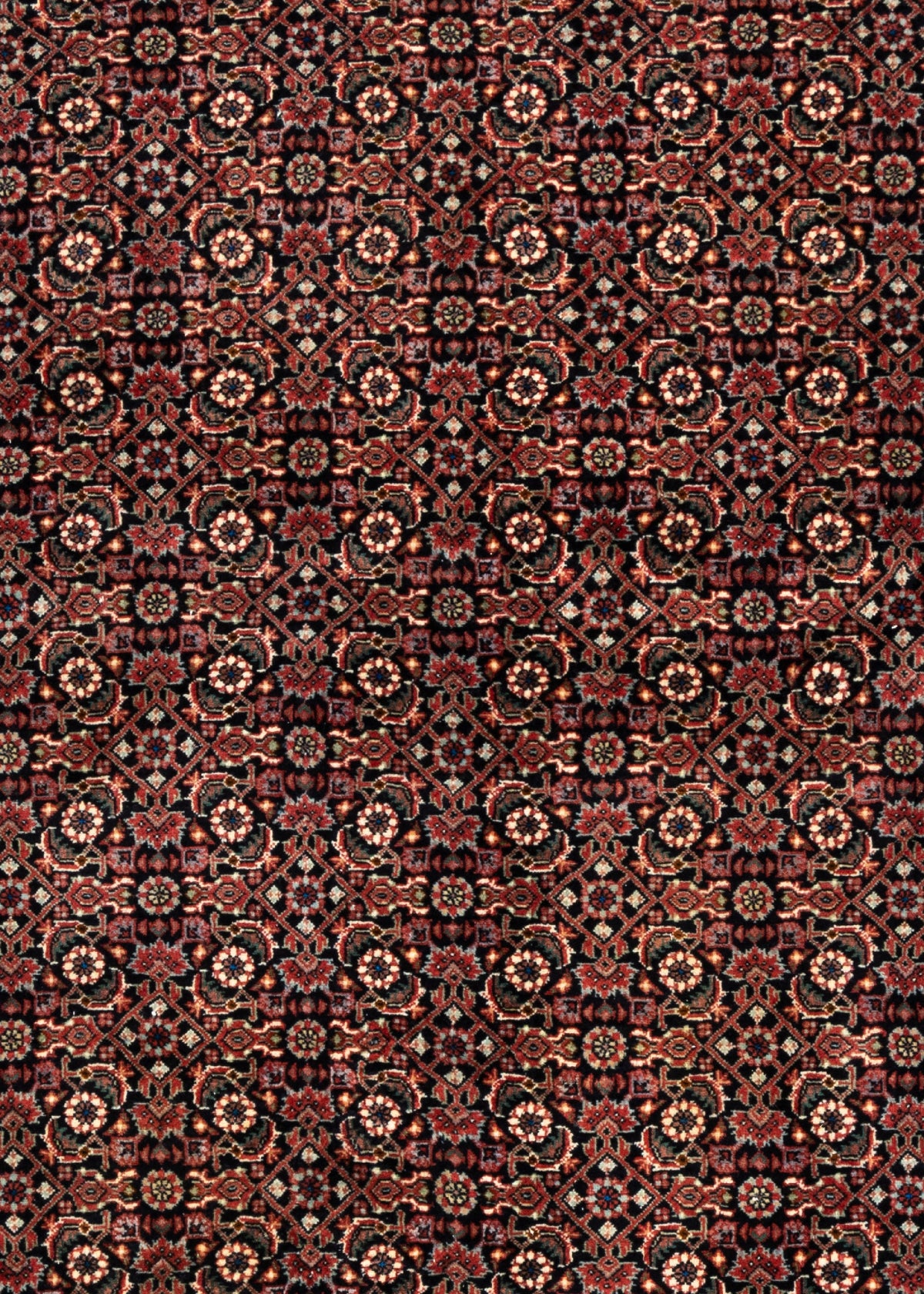 248x205 Bijar