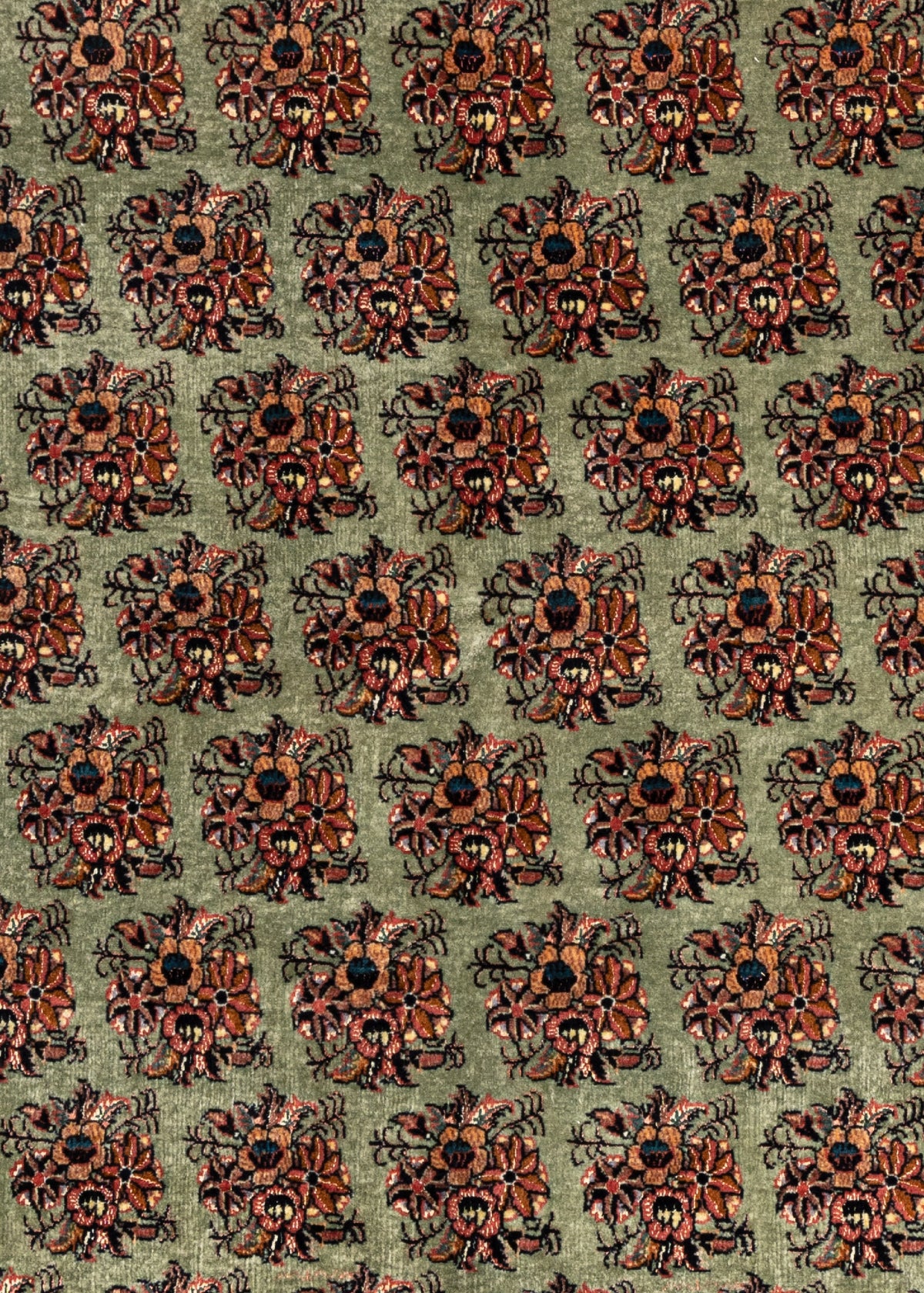 241 x 171 Bidjar mit Seide