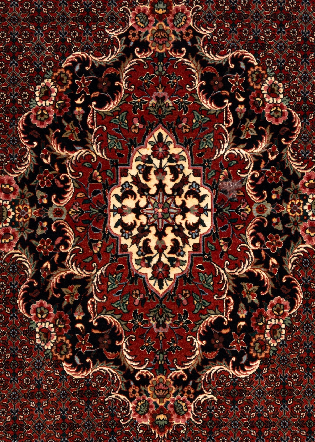 238x176 Bidjar con seta