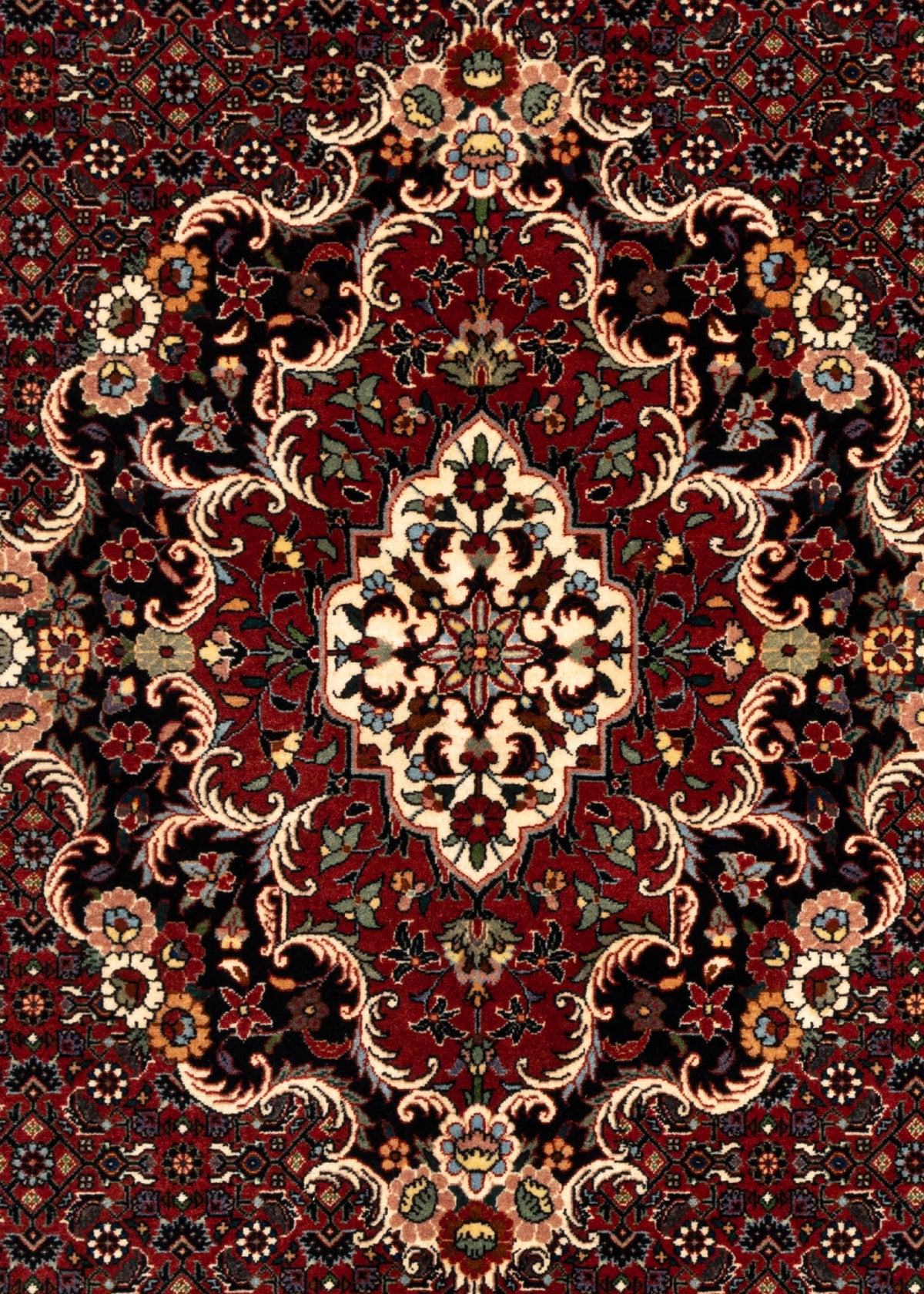 247 x 173 Bidjar