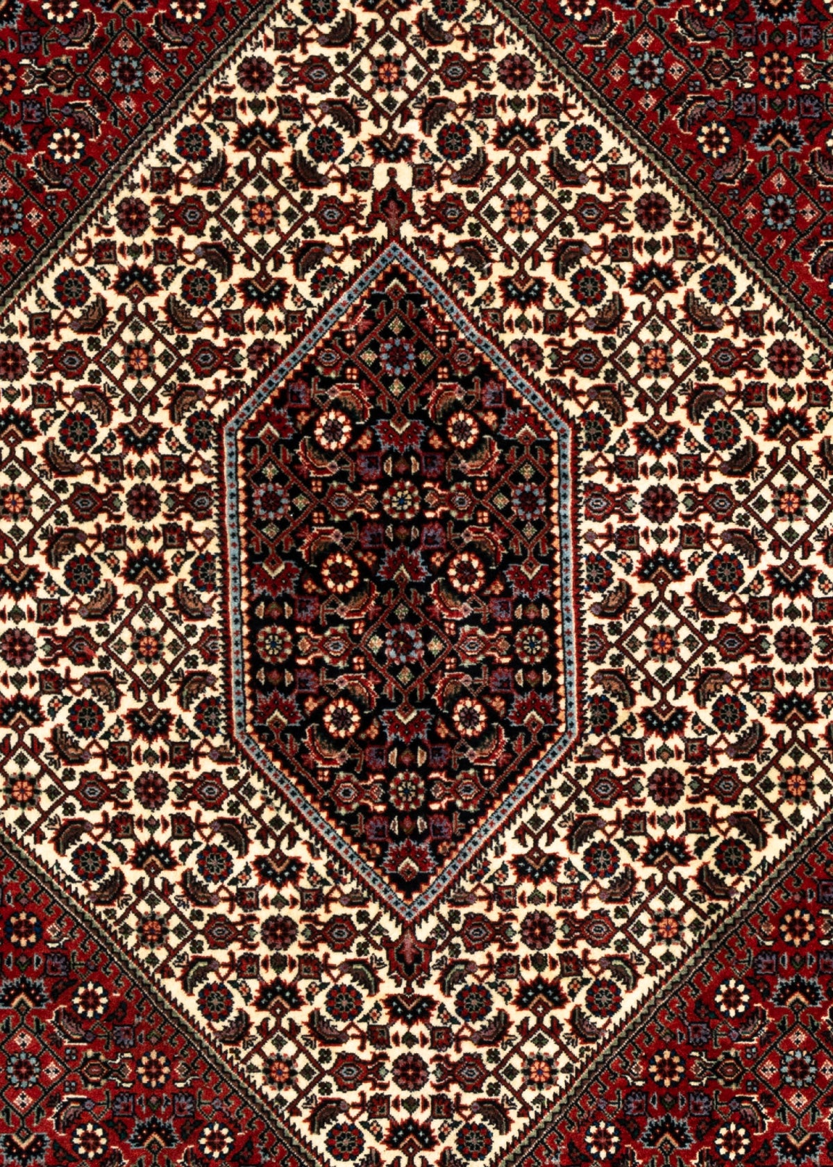 240x175 Bidjar