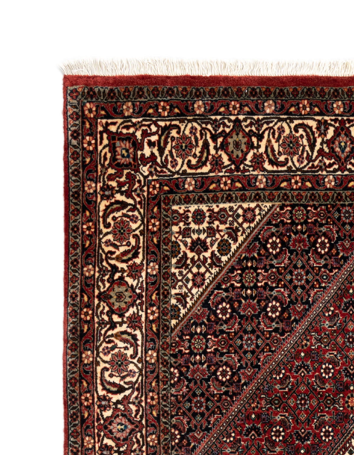 225x134 Bidjar