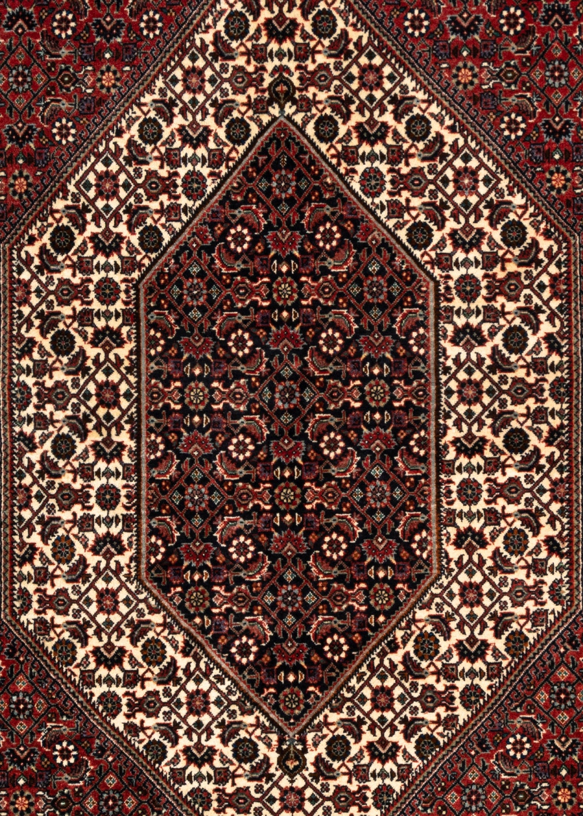 225x134 Bidjar
