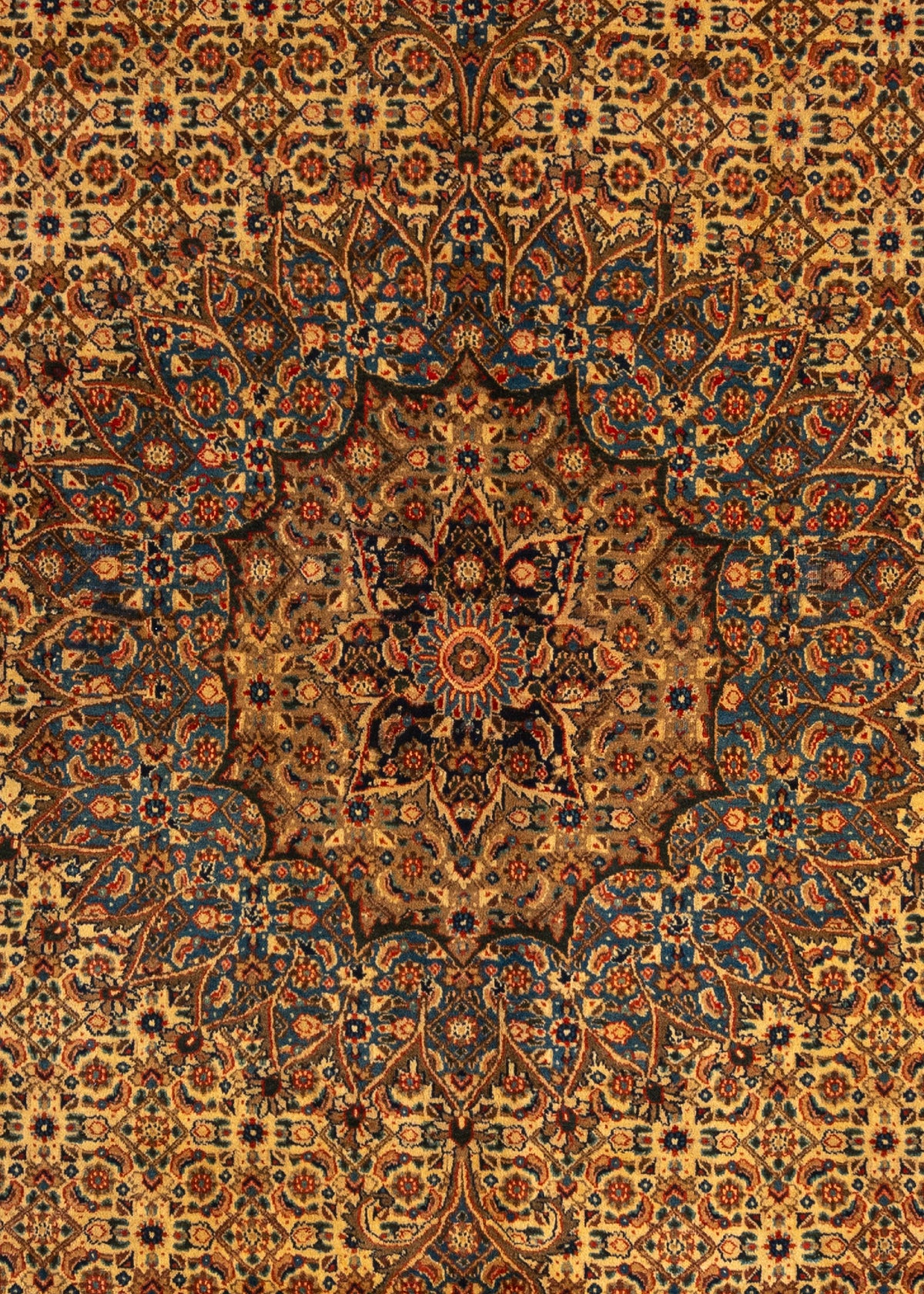 369 x 267 Moud