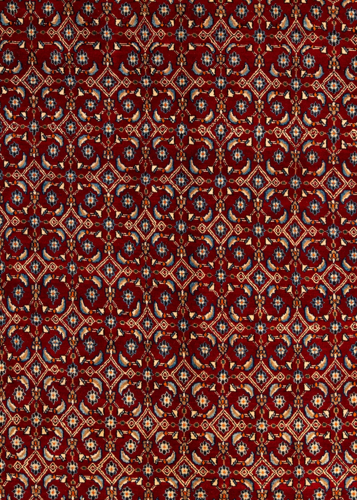 385 x 283 Moud