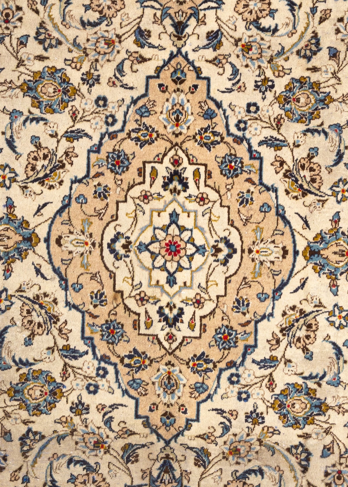 359 x 243 Keshan