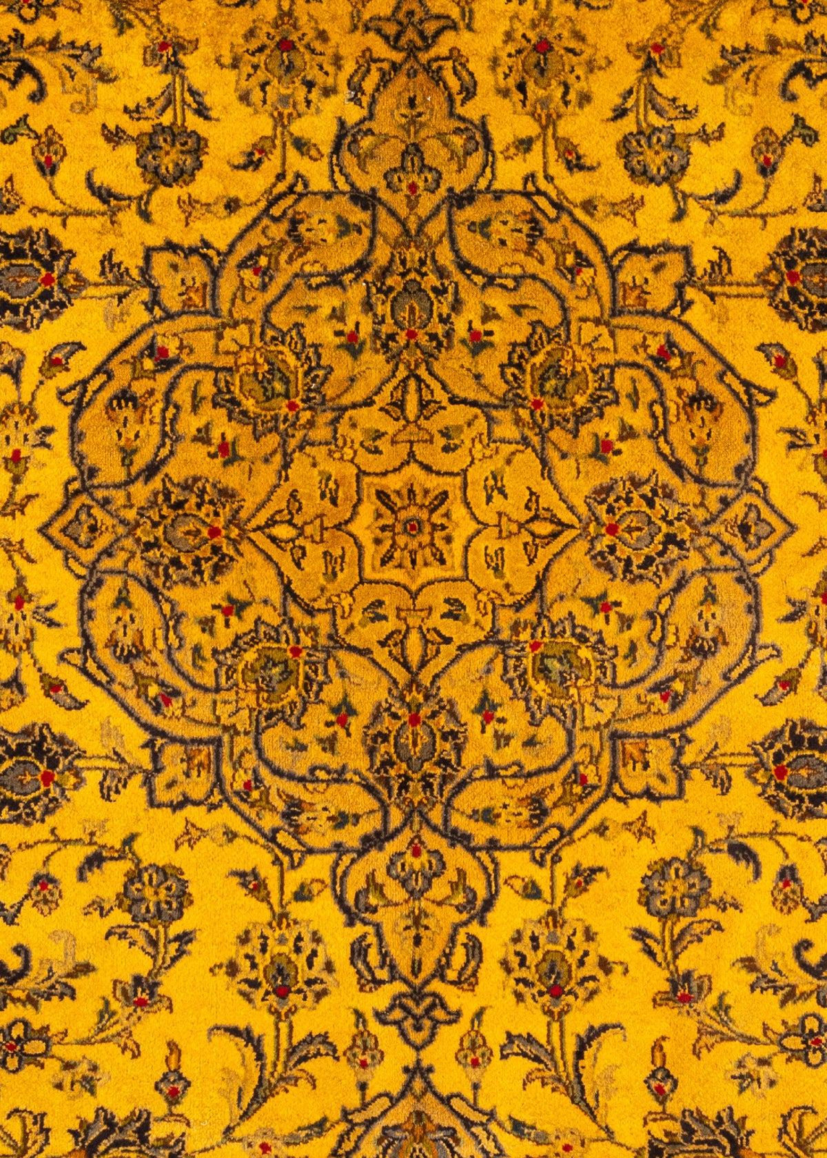 356 x 241 Keshan
