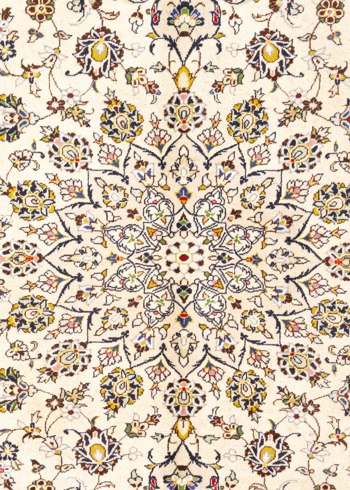 350 x 245 Keshan
