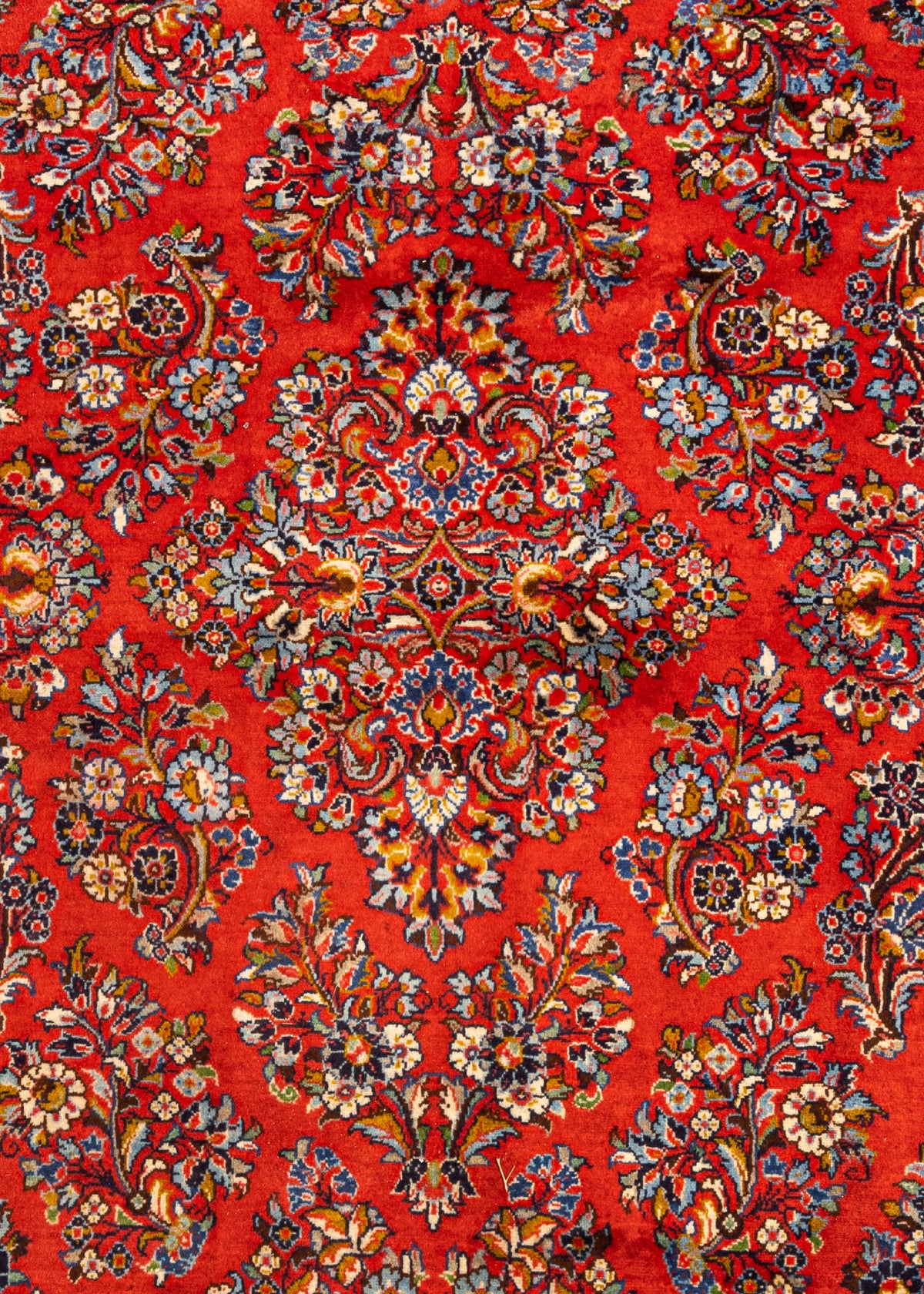 345 x 253 Saruk