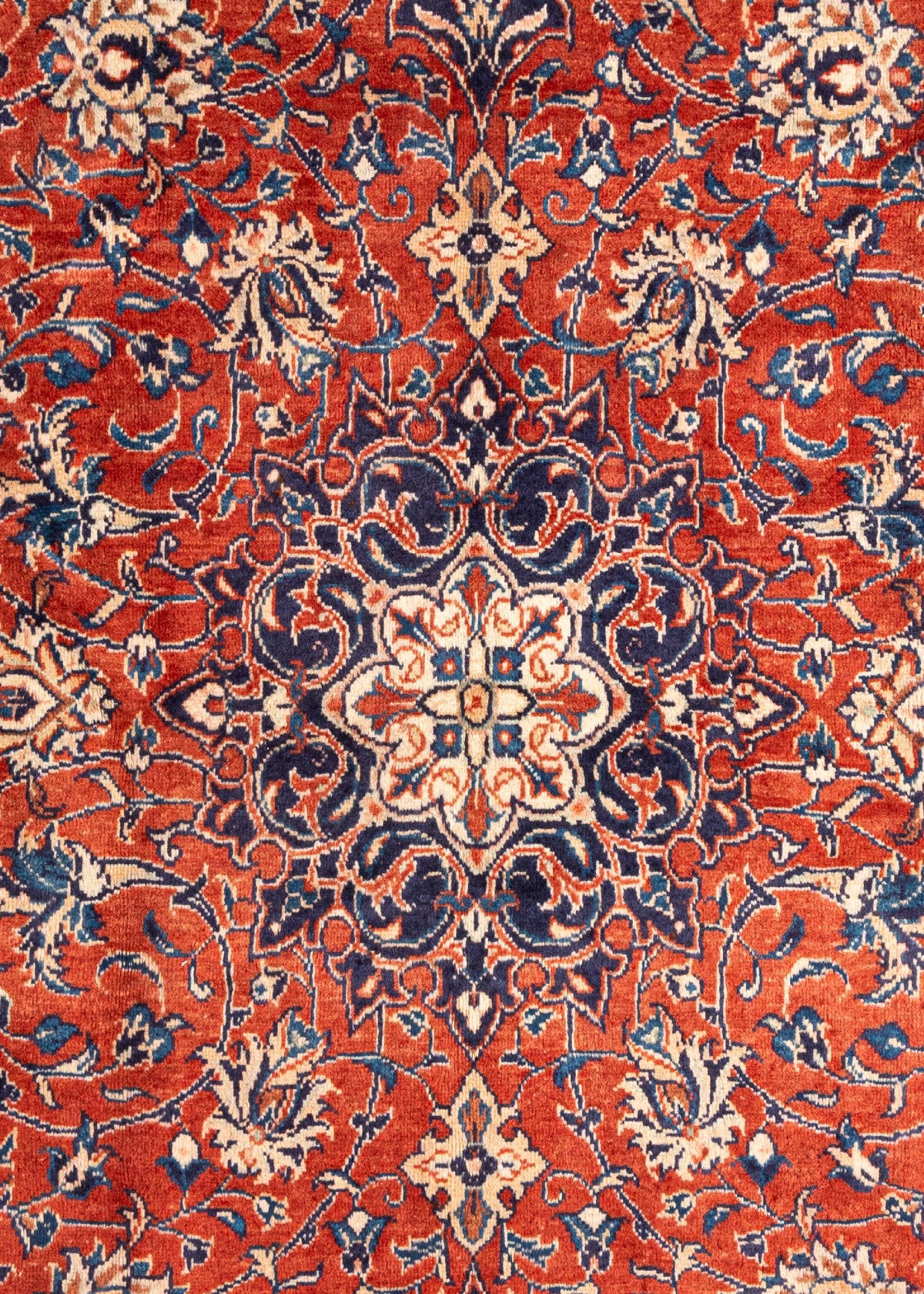 335 x 219 Saruk