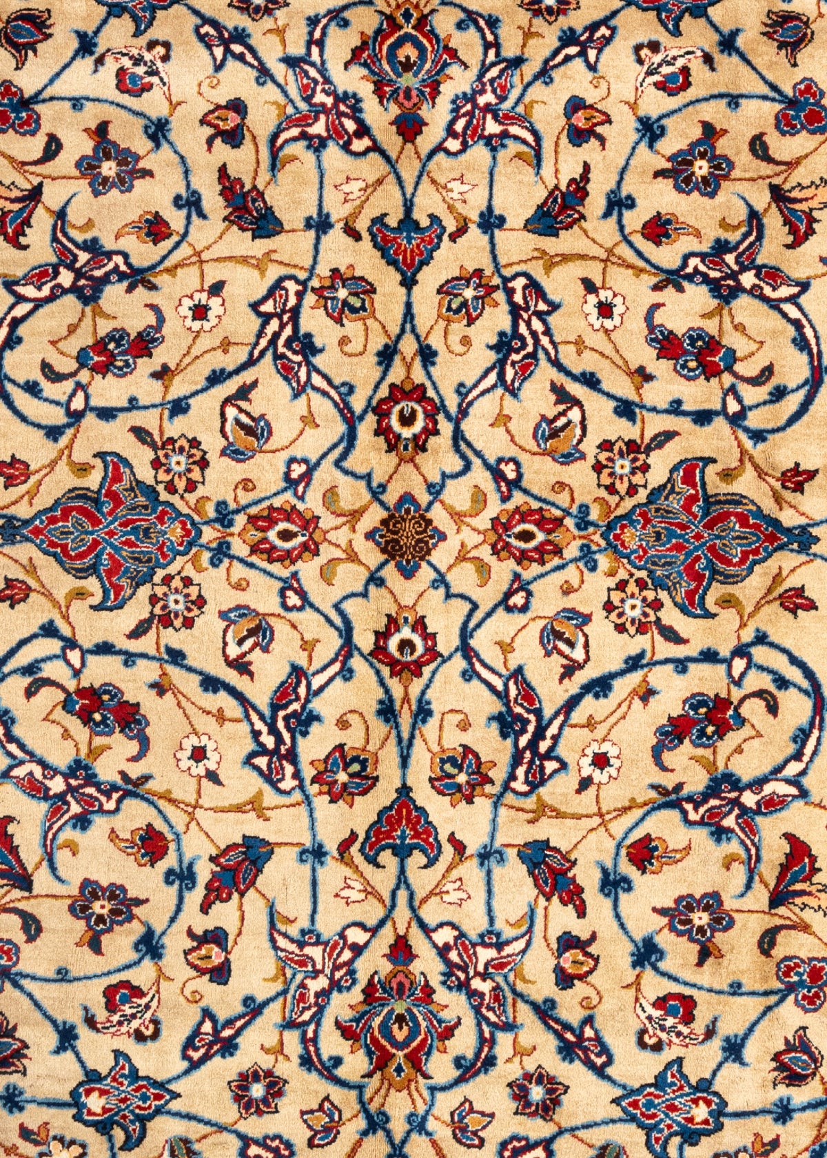 335 x 253 Keshan