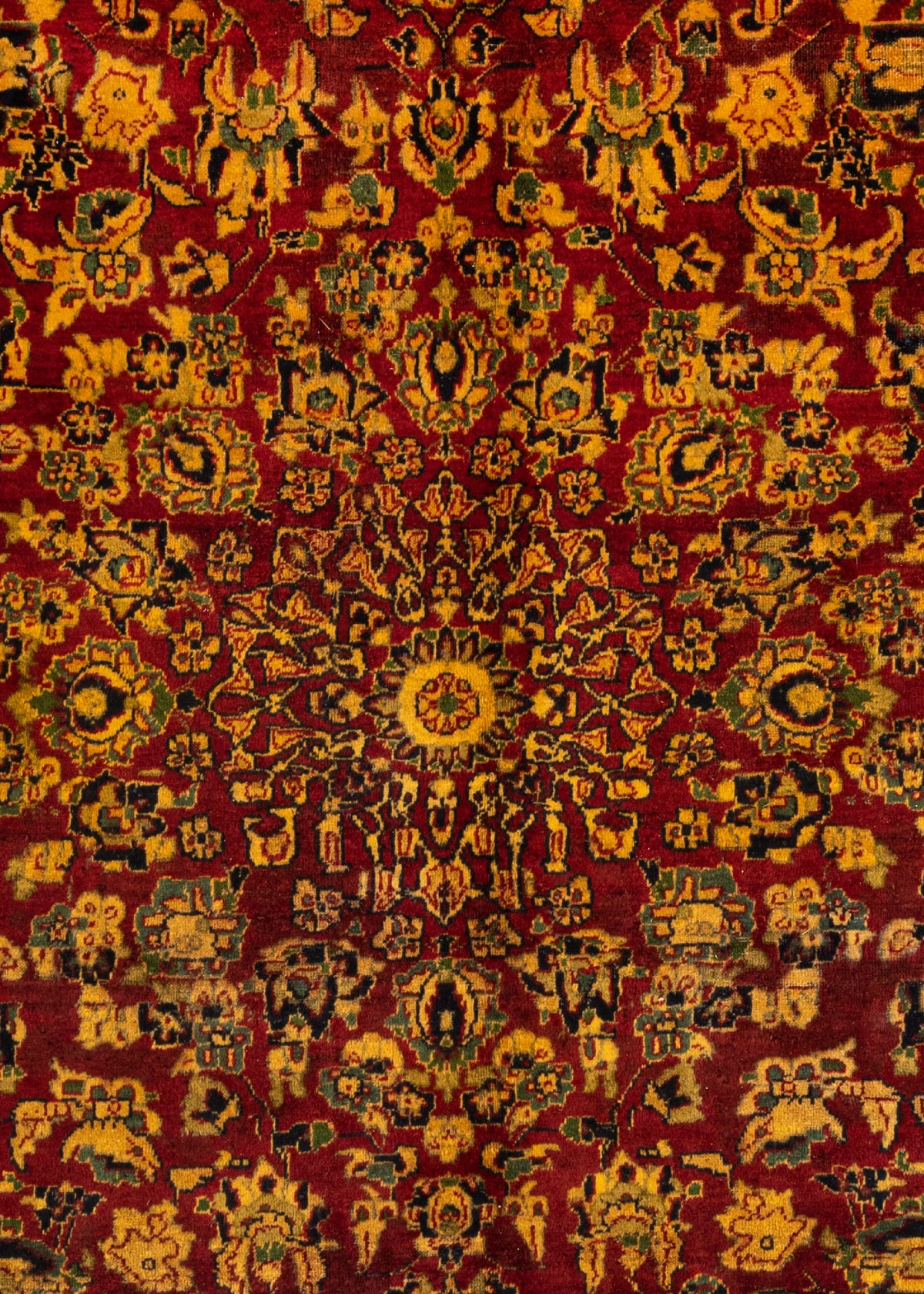 339x250 Yazel