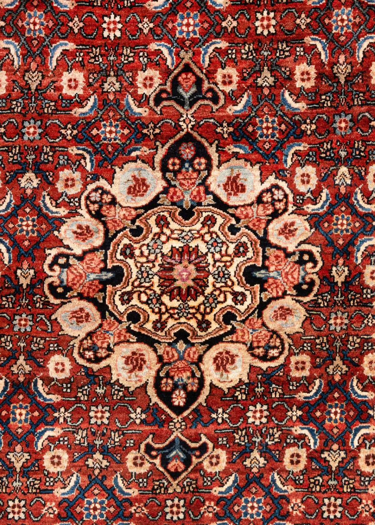 335x233 Bidjar