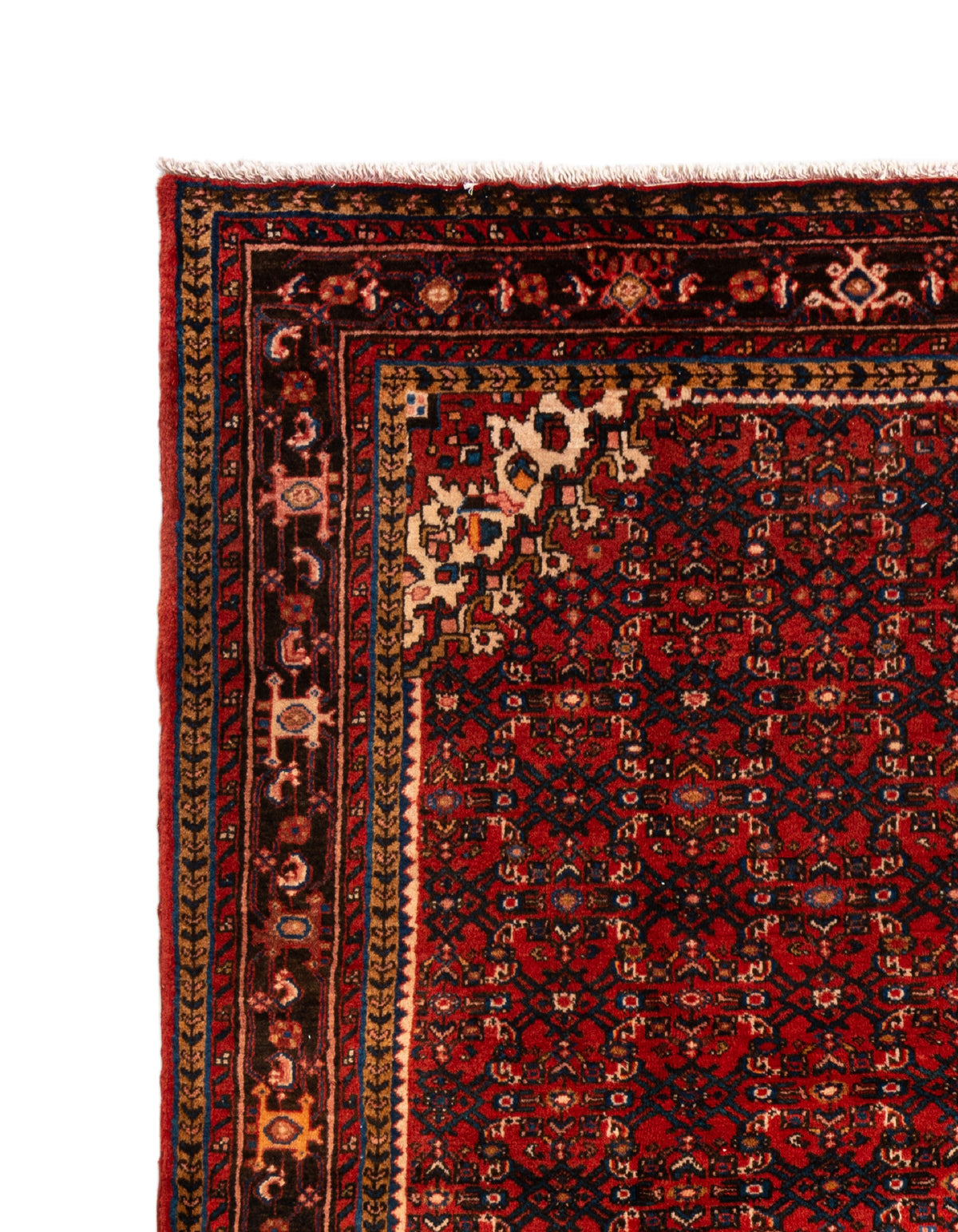 338 x 211 Hamadan
