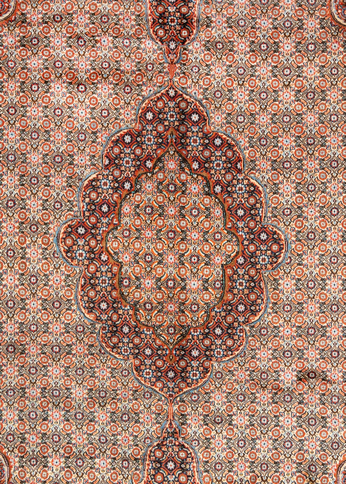 287 x 197 Moud