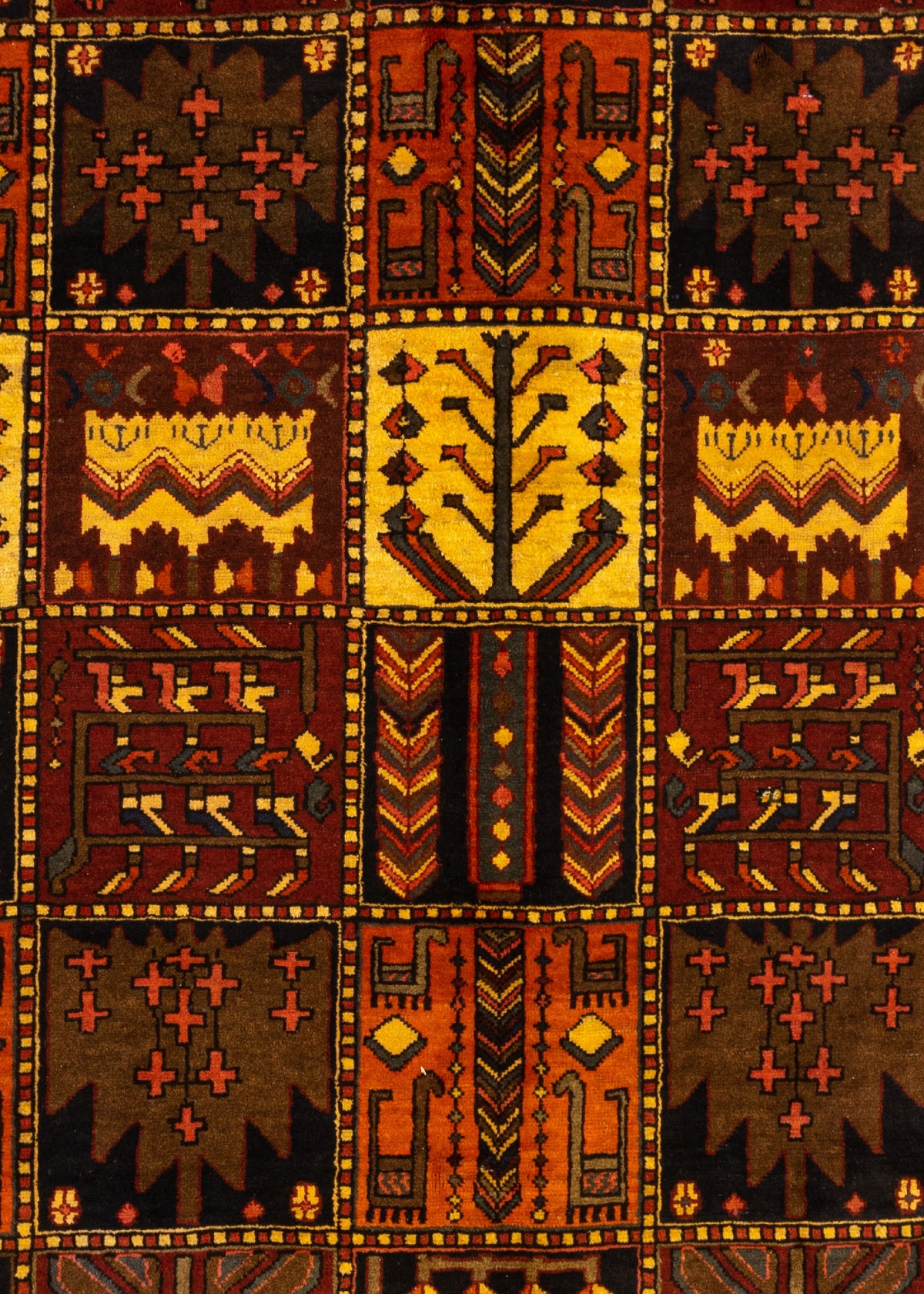 289x207 Bakhtiari