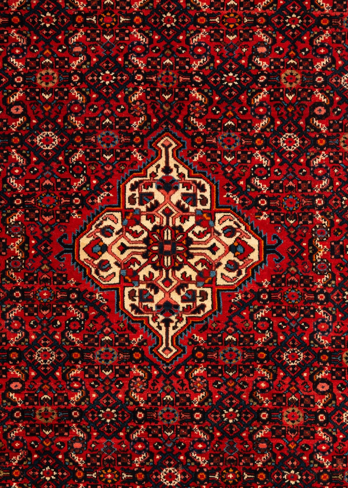 308 x 217 Hamadan