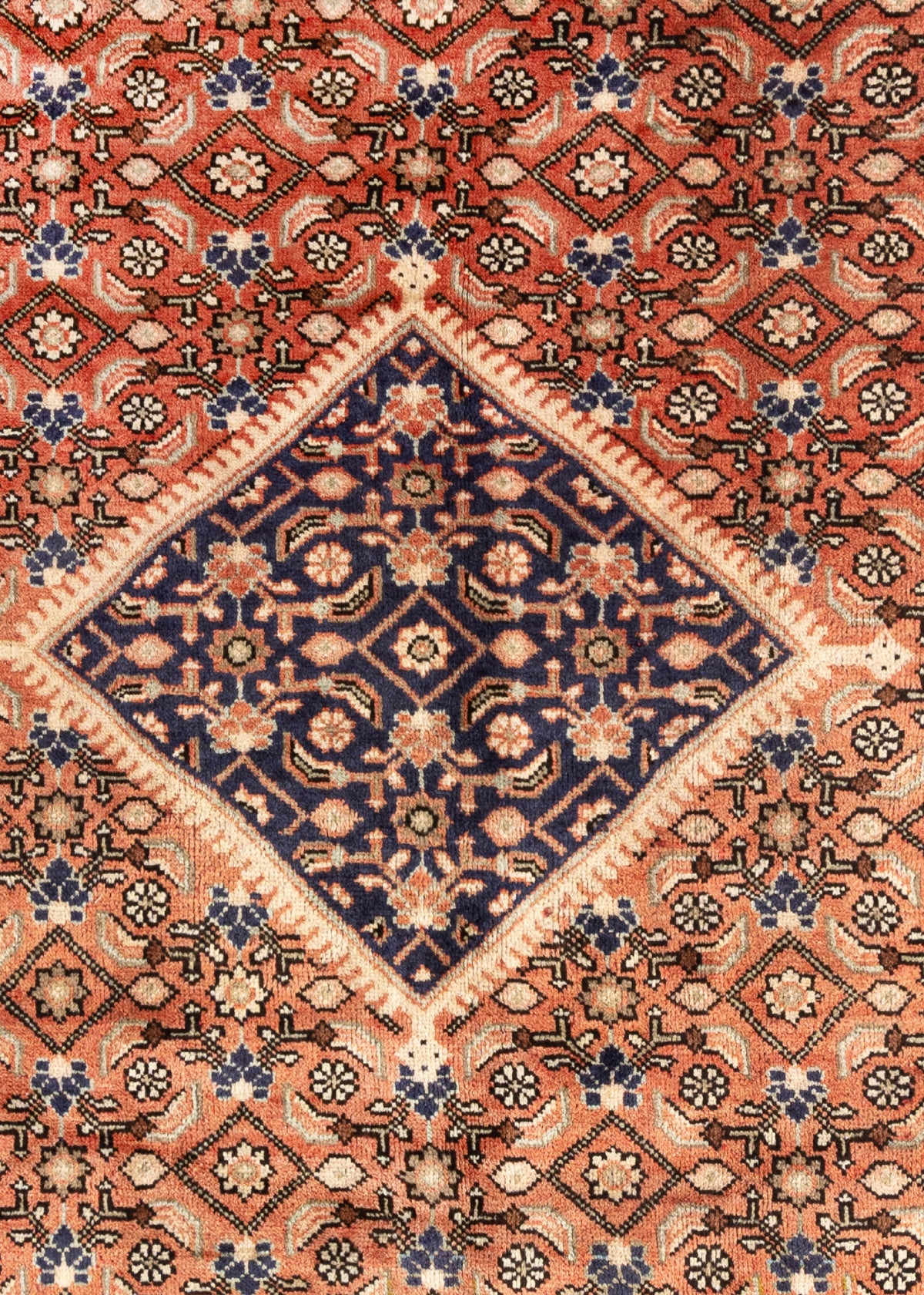 307 x 206 Hamadan