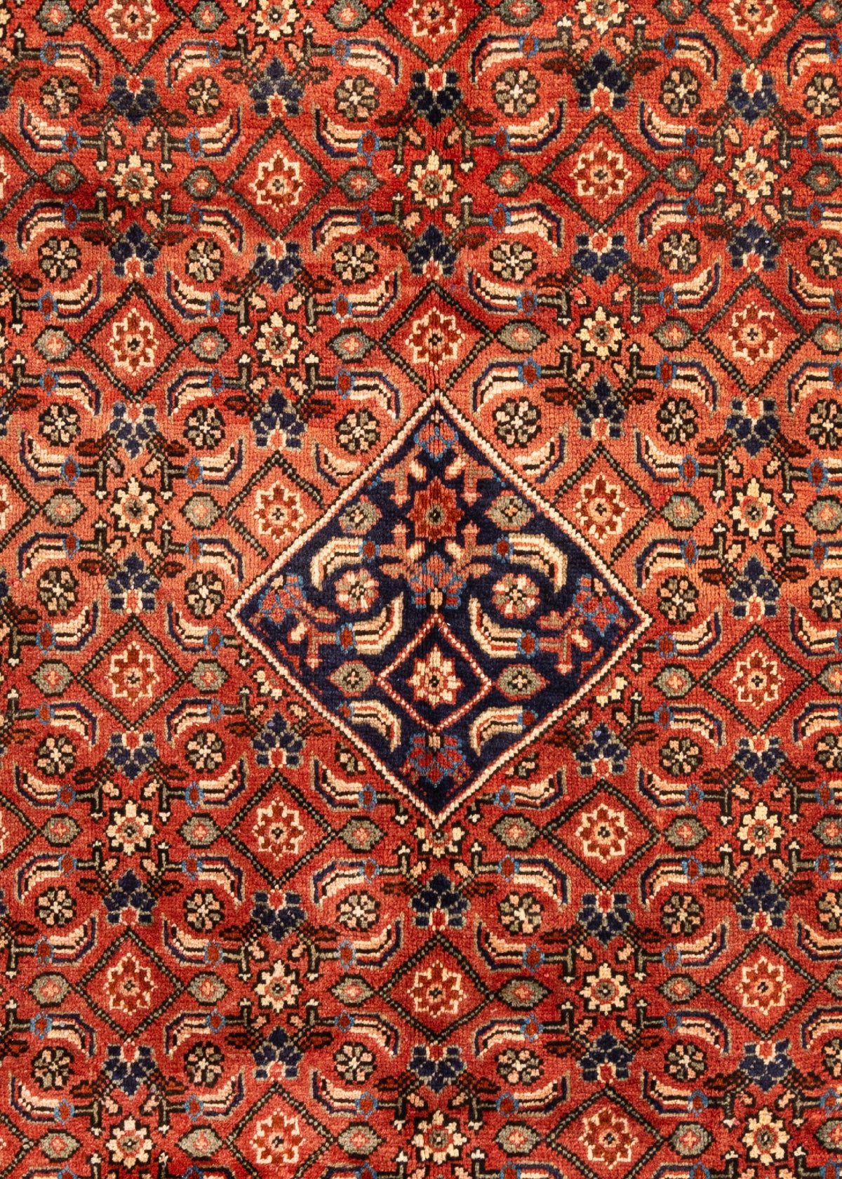 312 x 209 Hamadan