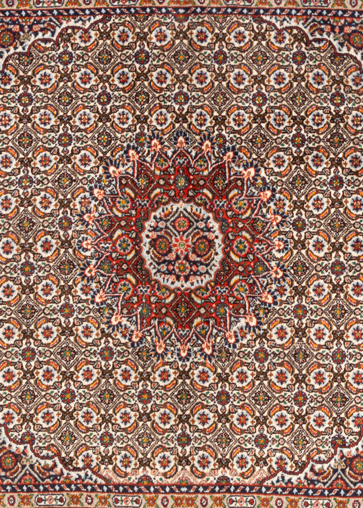 123 x 122 Moud