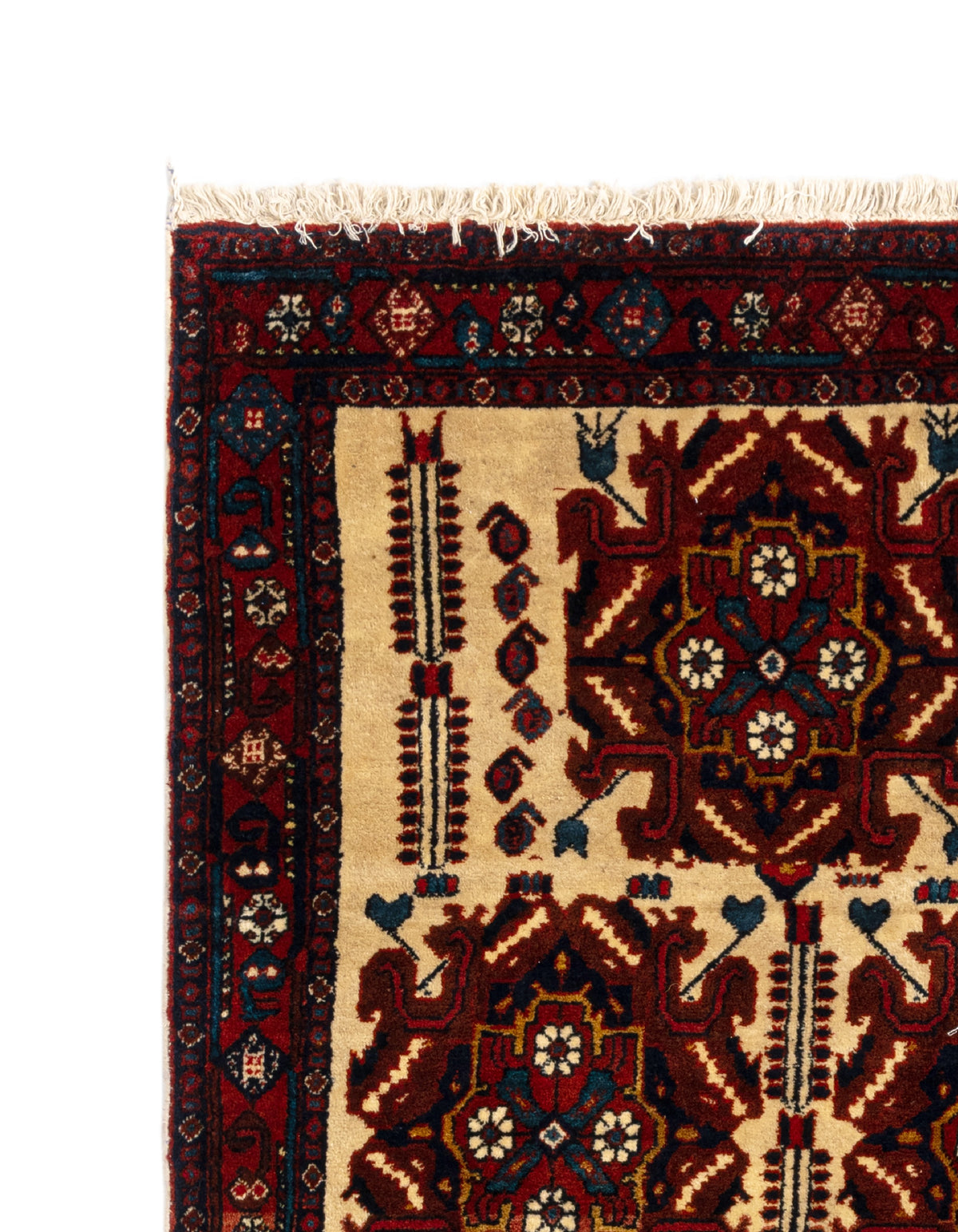 161x125 Afshar