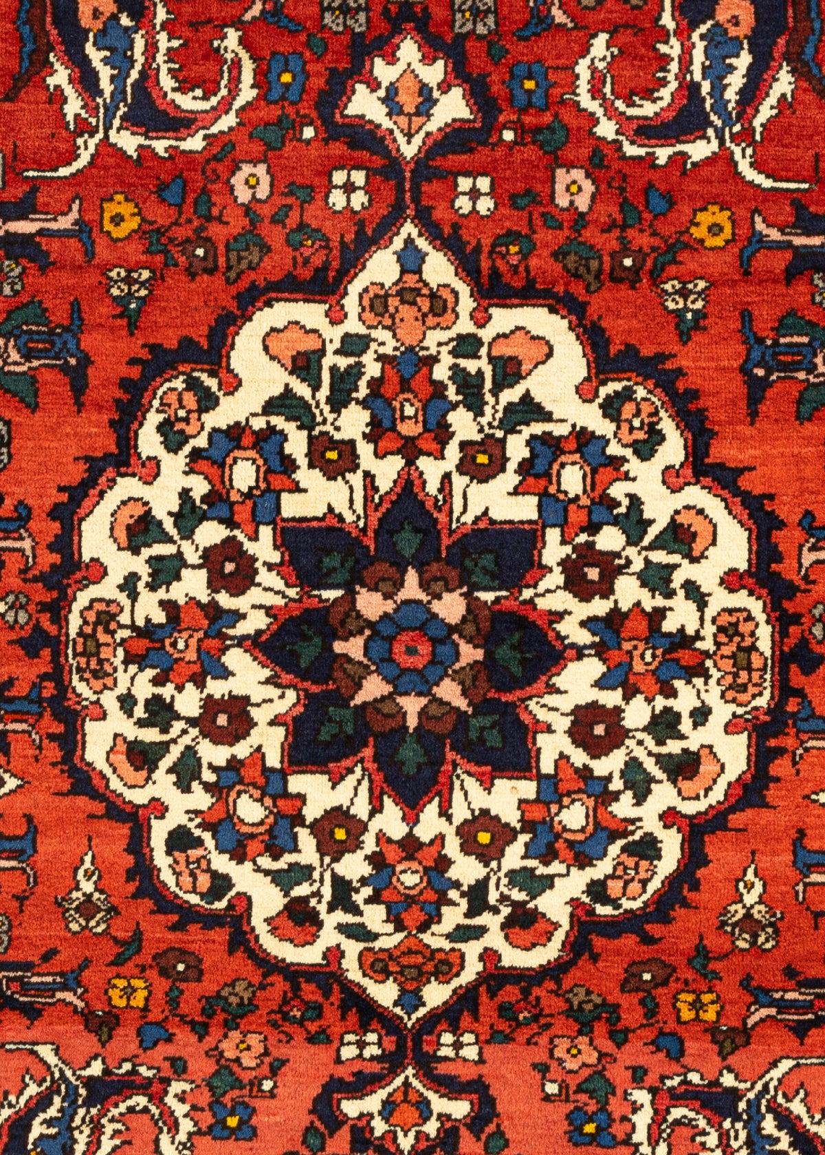 146x110 Bakhtiar