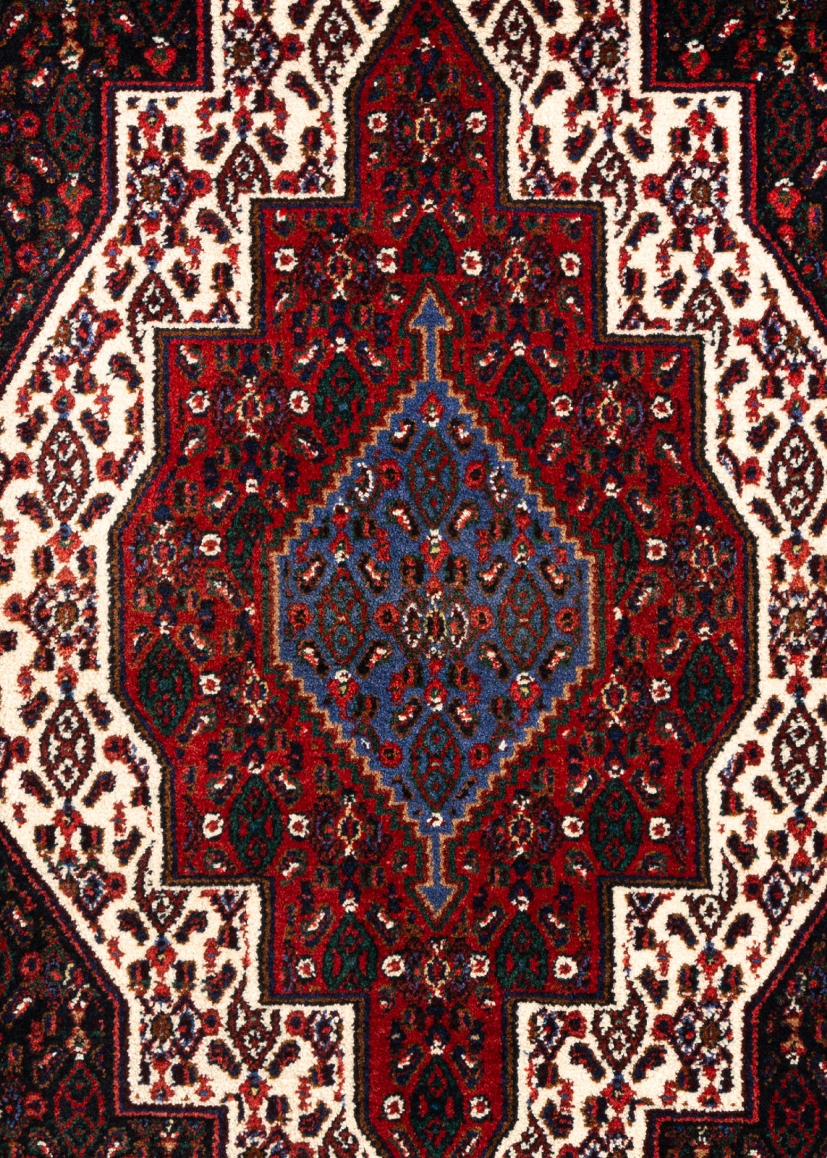164 x 124 Senneh