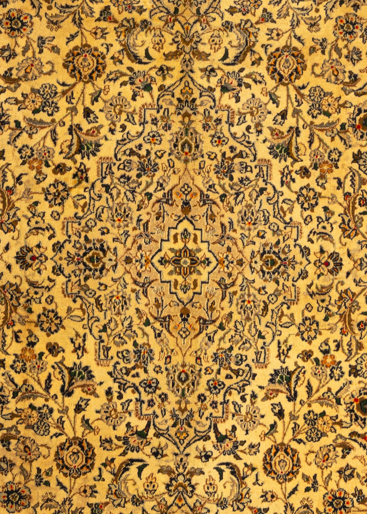 380 x 285 Kashmar