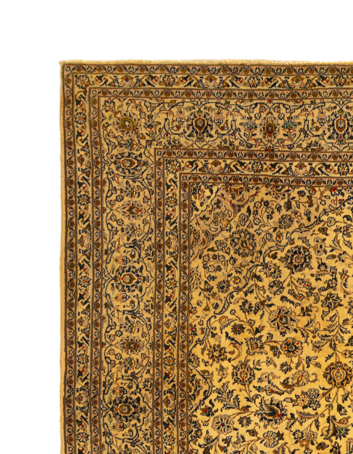 380 x 285 Kashmar