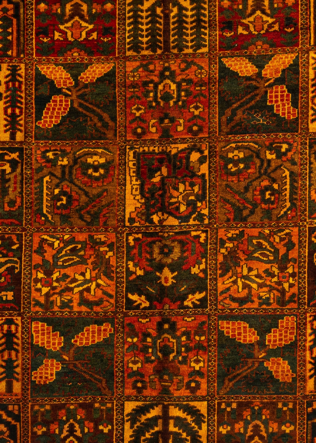 402x302 Bakhtiari