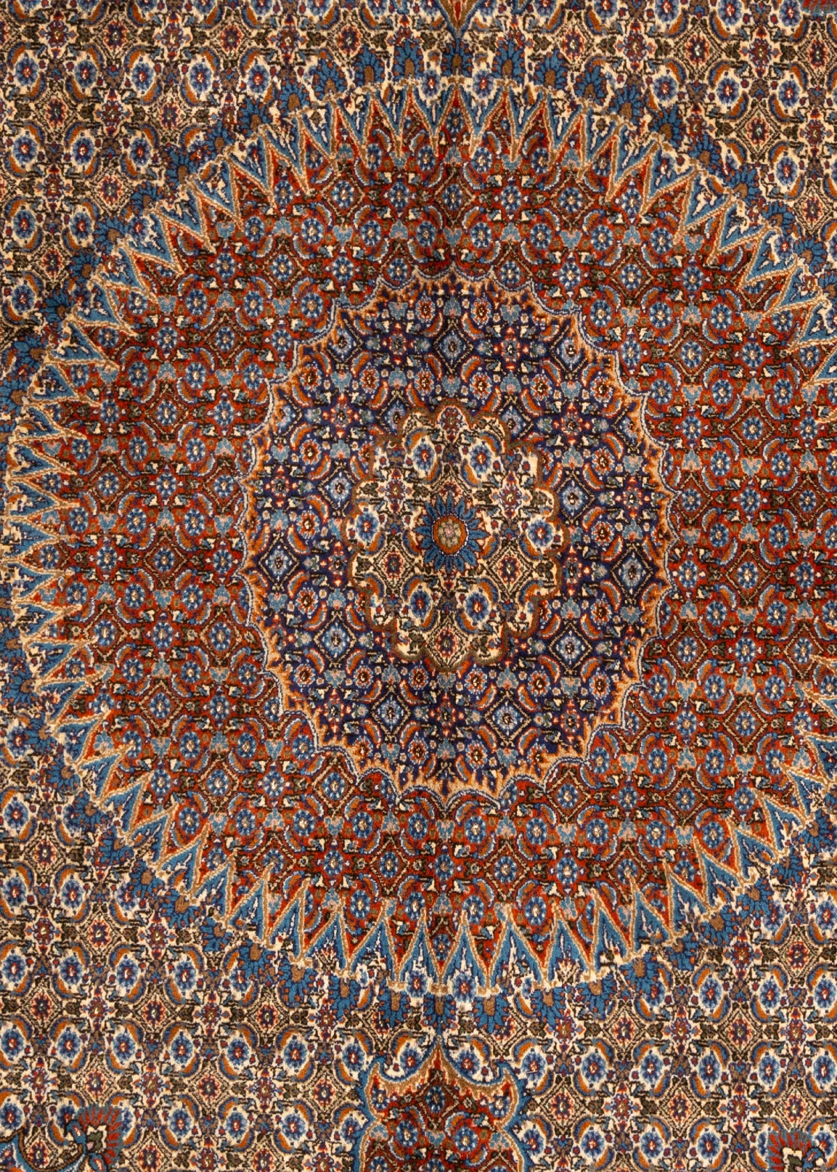 402x289 Moud