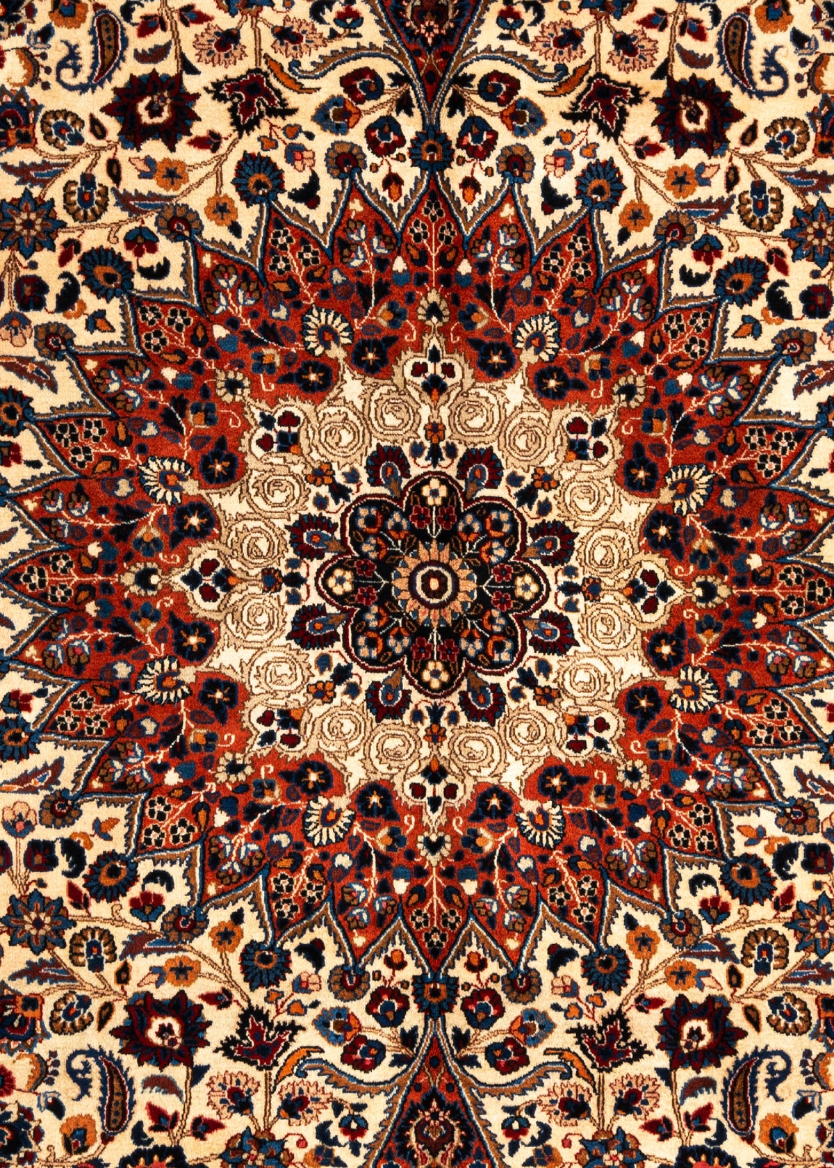 389x296 Moud
