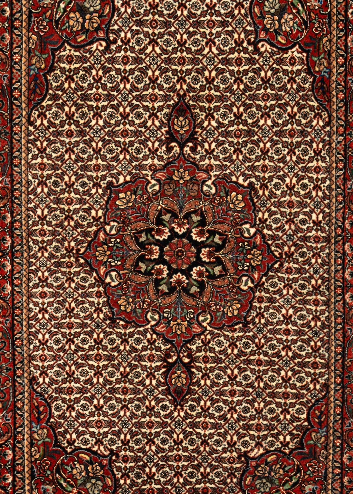 140 x 87 Bidjar