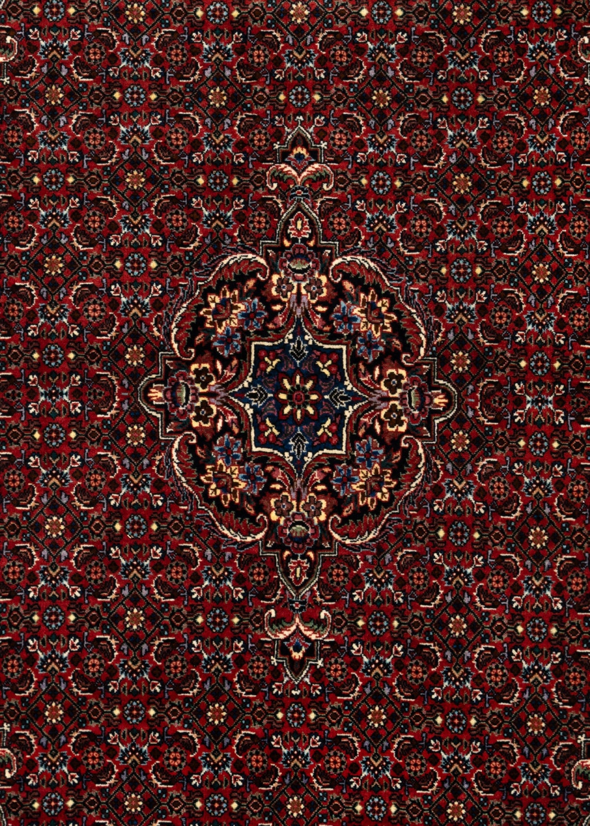 156x86 Bidjar