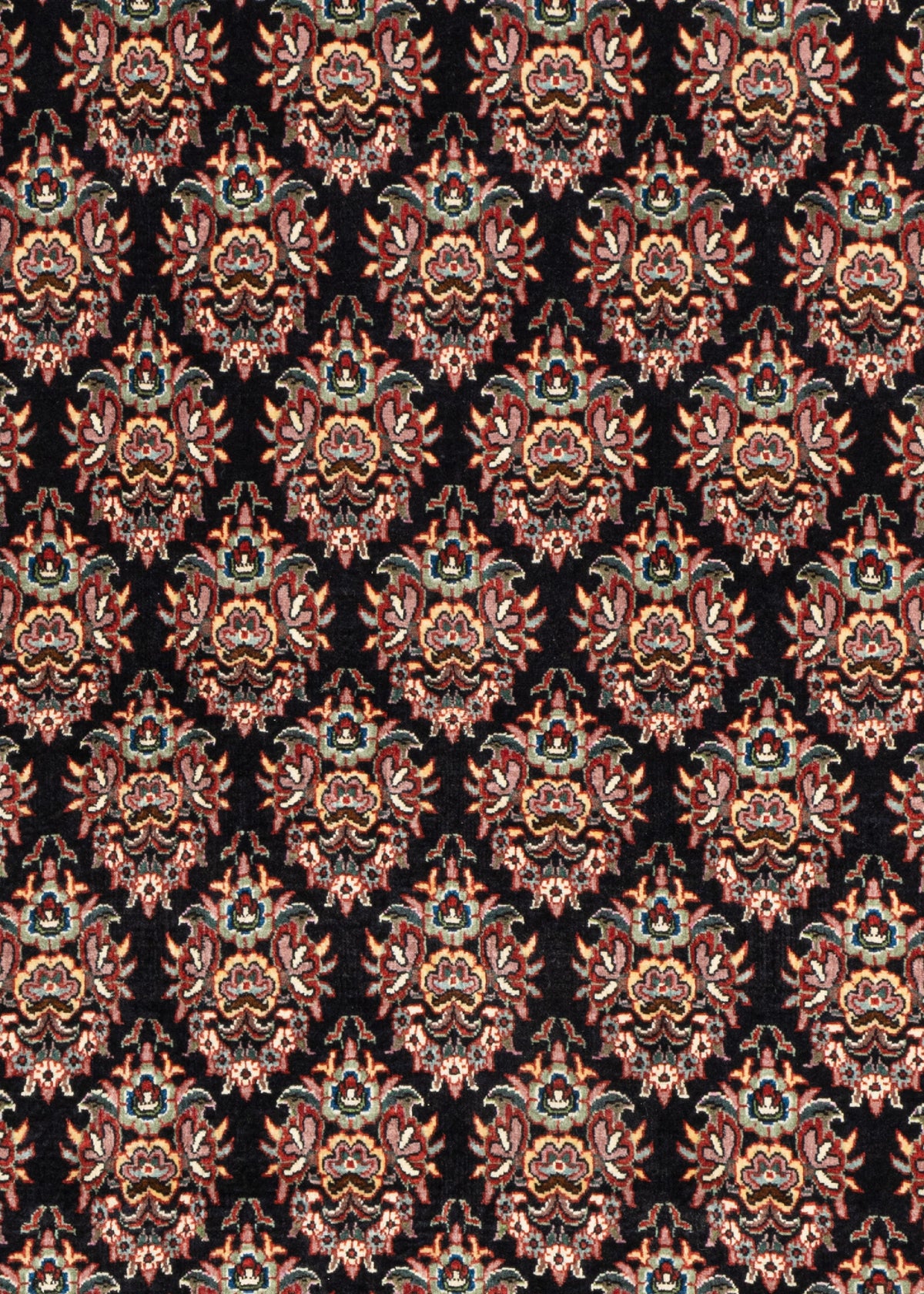 193 x 99 Bidjar