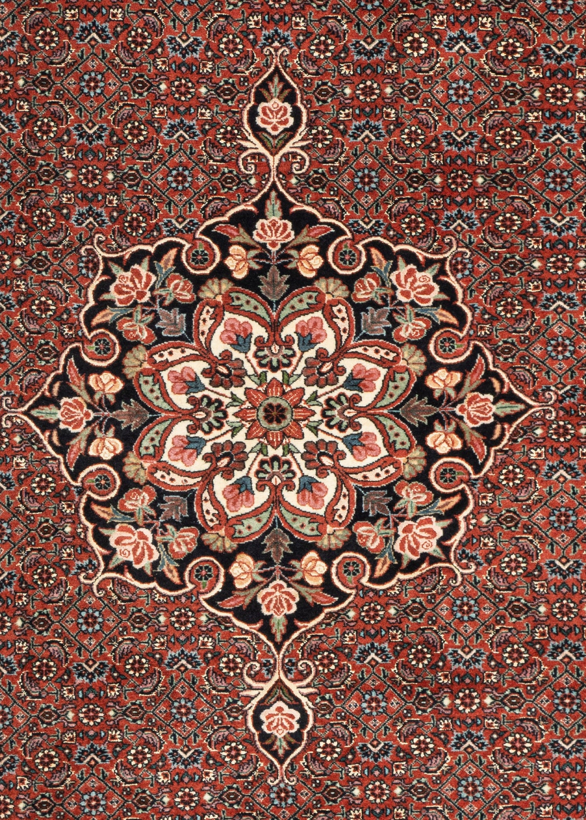 205x100 Bidjar